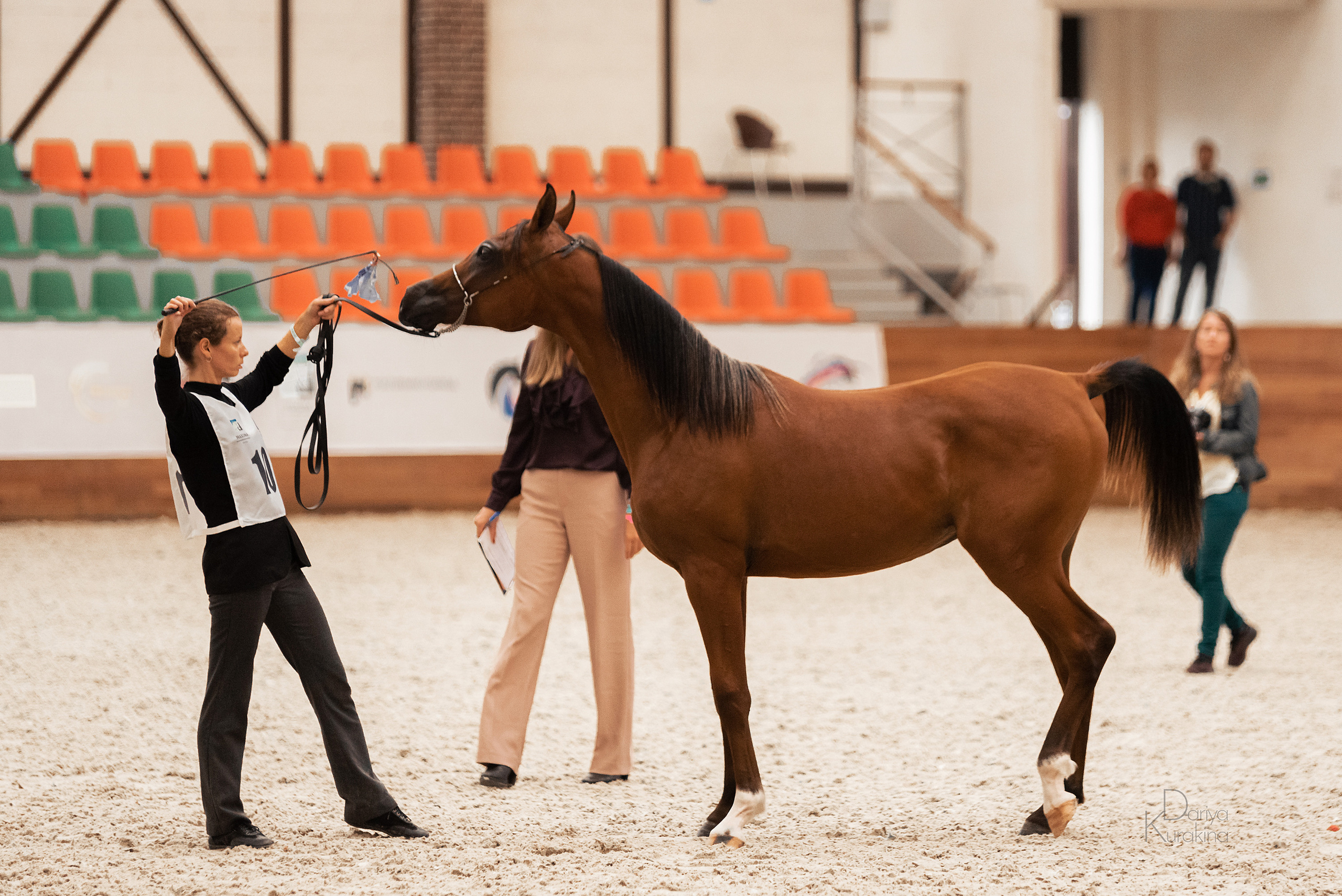 Конная Россия 2021. Конный фотограф Куракина Дарья • Фотосессии с лошадьми