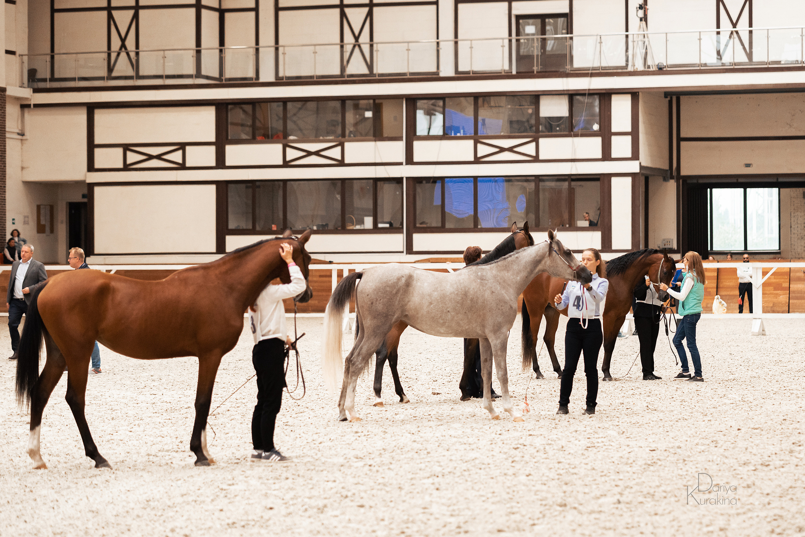 Конная Россия 2021. Конный фотограф Куракина Дарья • Фотосессии с лошадьми