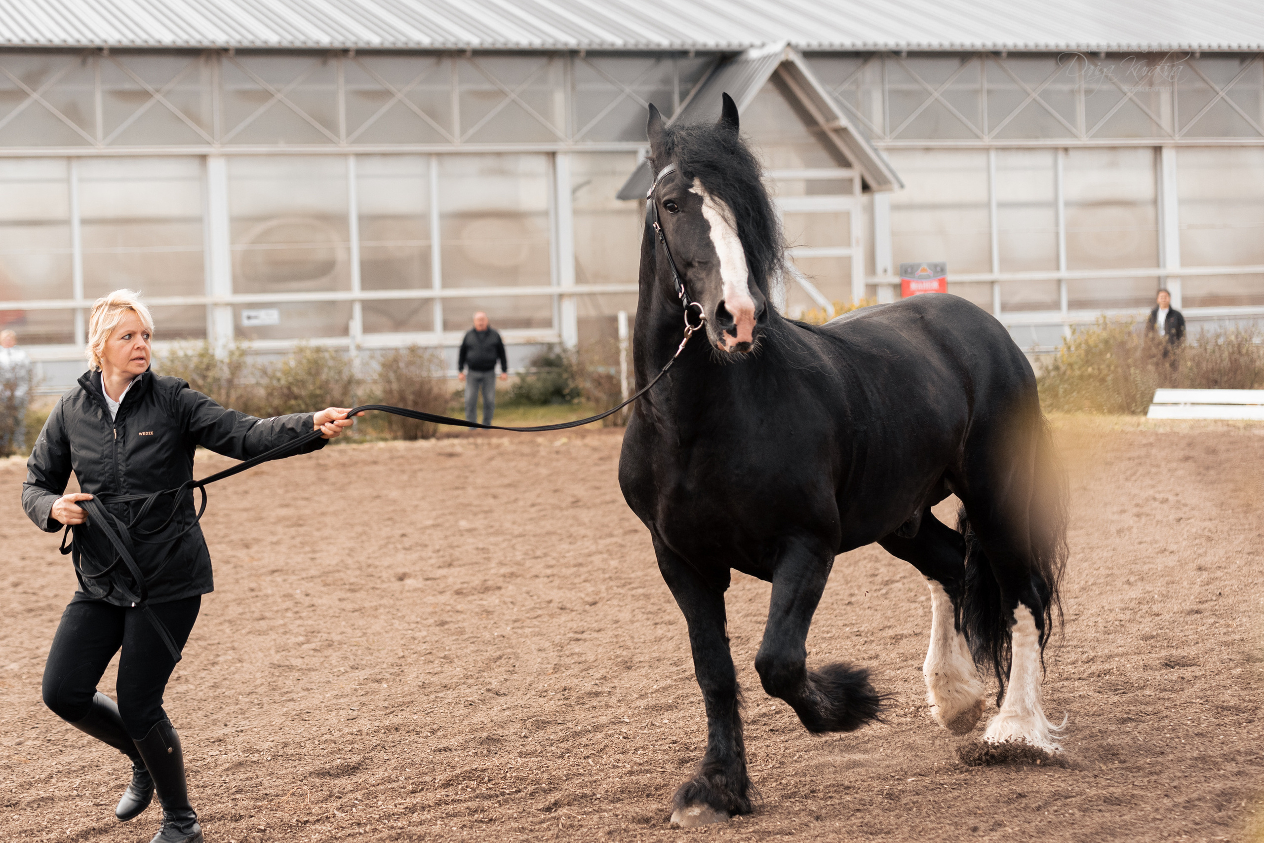 Богдарня. Конный фотограф Куракина Дарья • Фотосессии с лошадьми