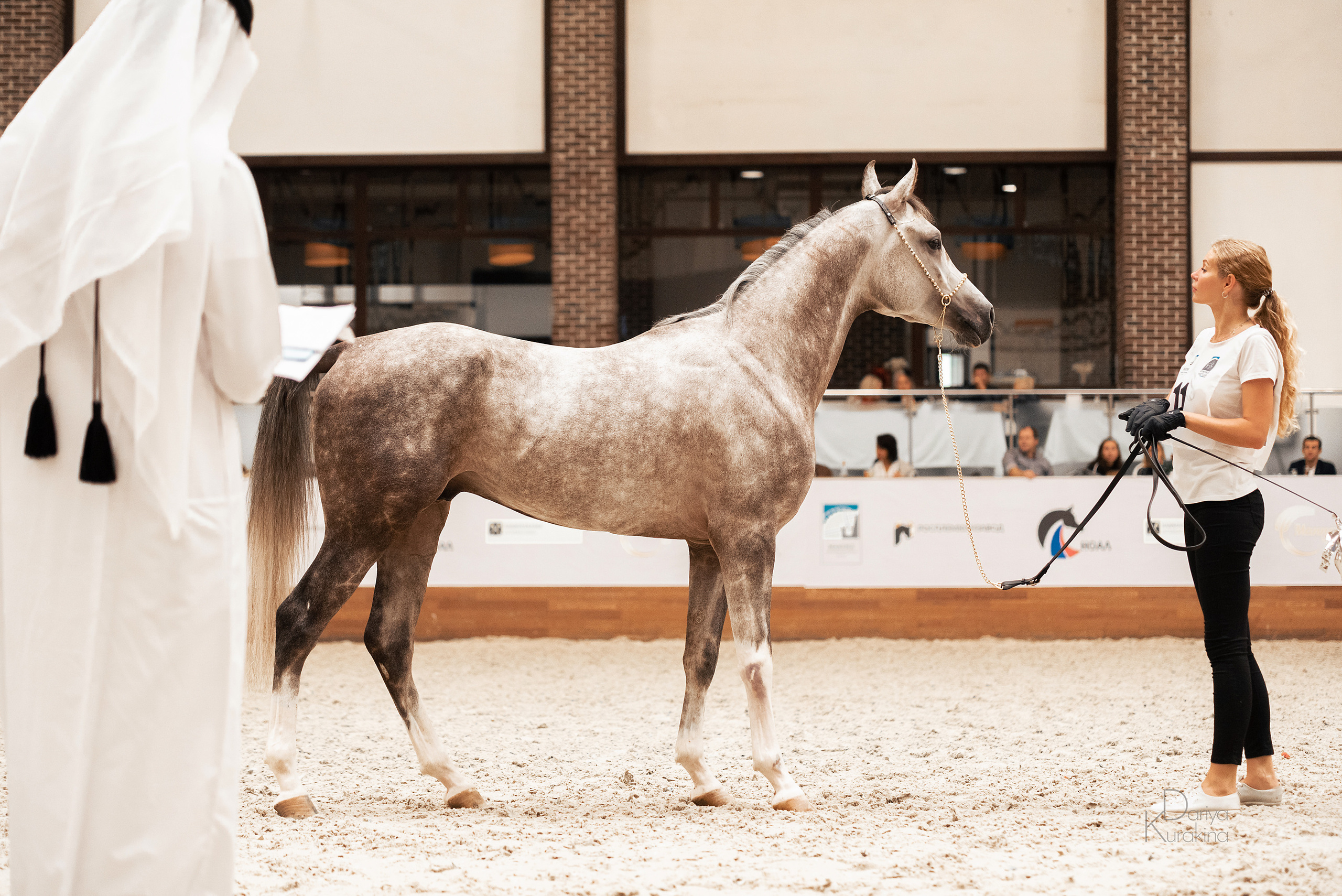Конная Россия 2021. Конный фотограф Куракина Дарья • Фотосессии с лошадьми