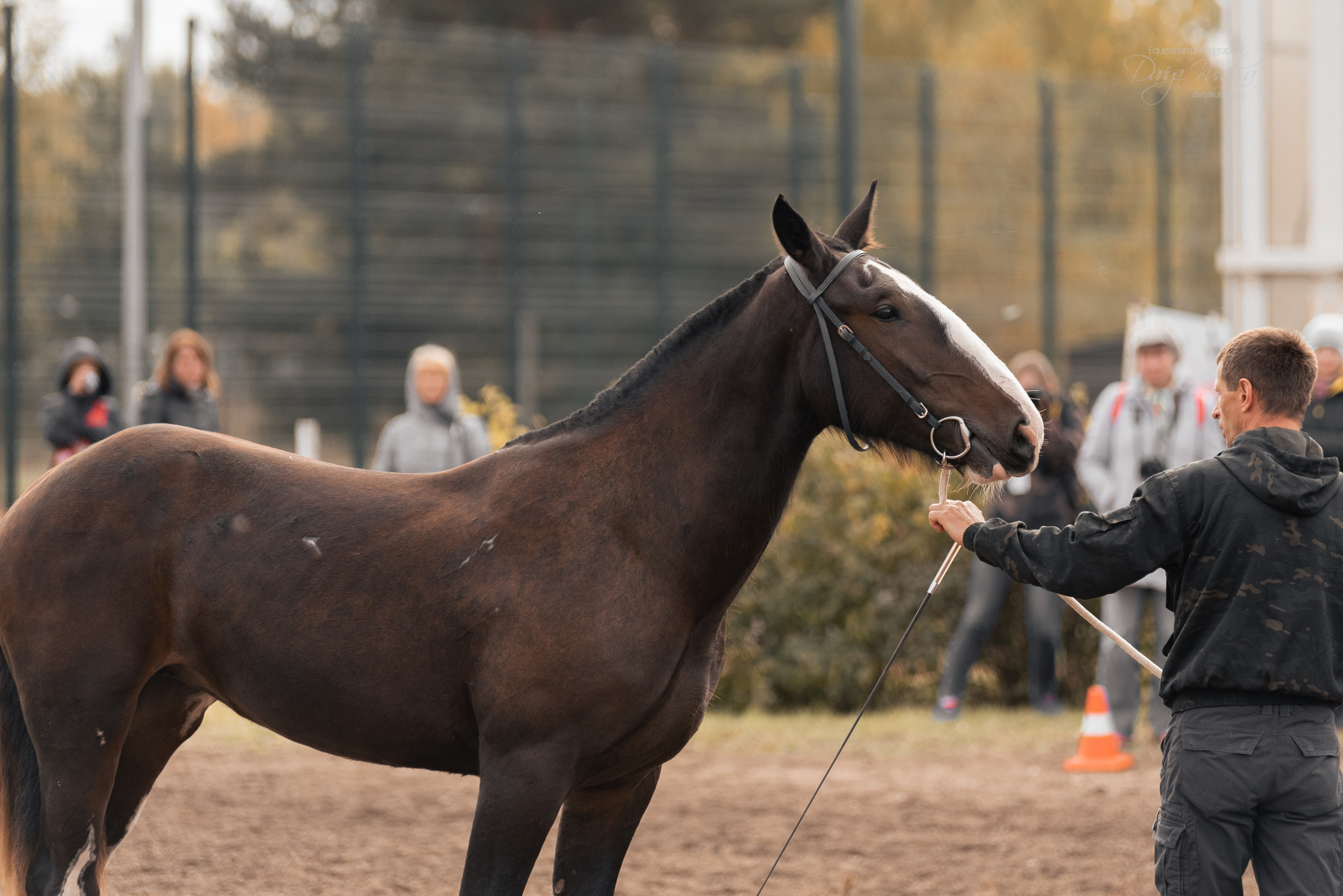 Богдарня. Конный фотограф Куракина Дарья • Фотосессии с лошадьми