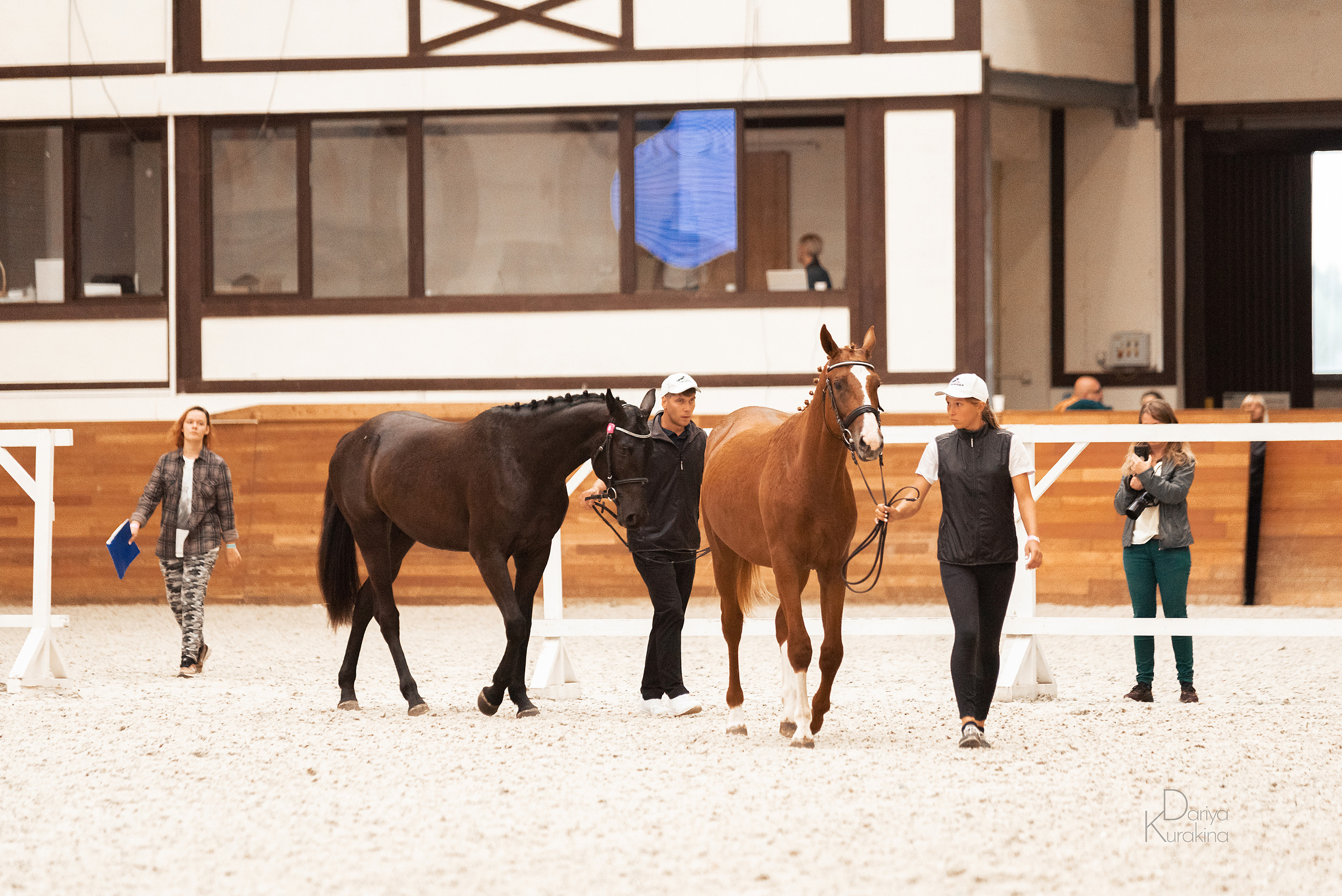 Конная Россия 2021. Конный фотограф Куракина Дарья • Фотосессии с лошадьми