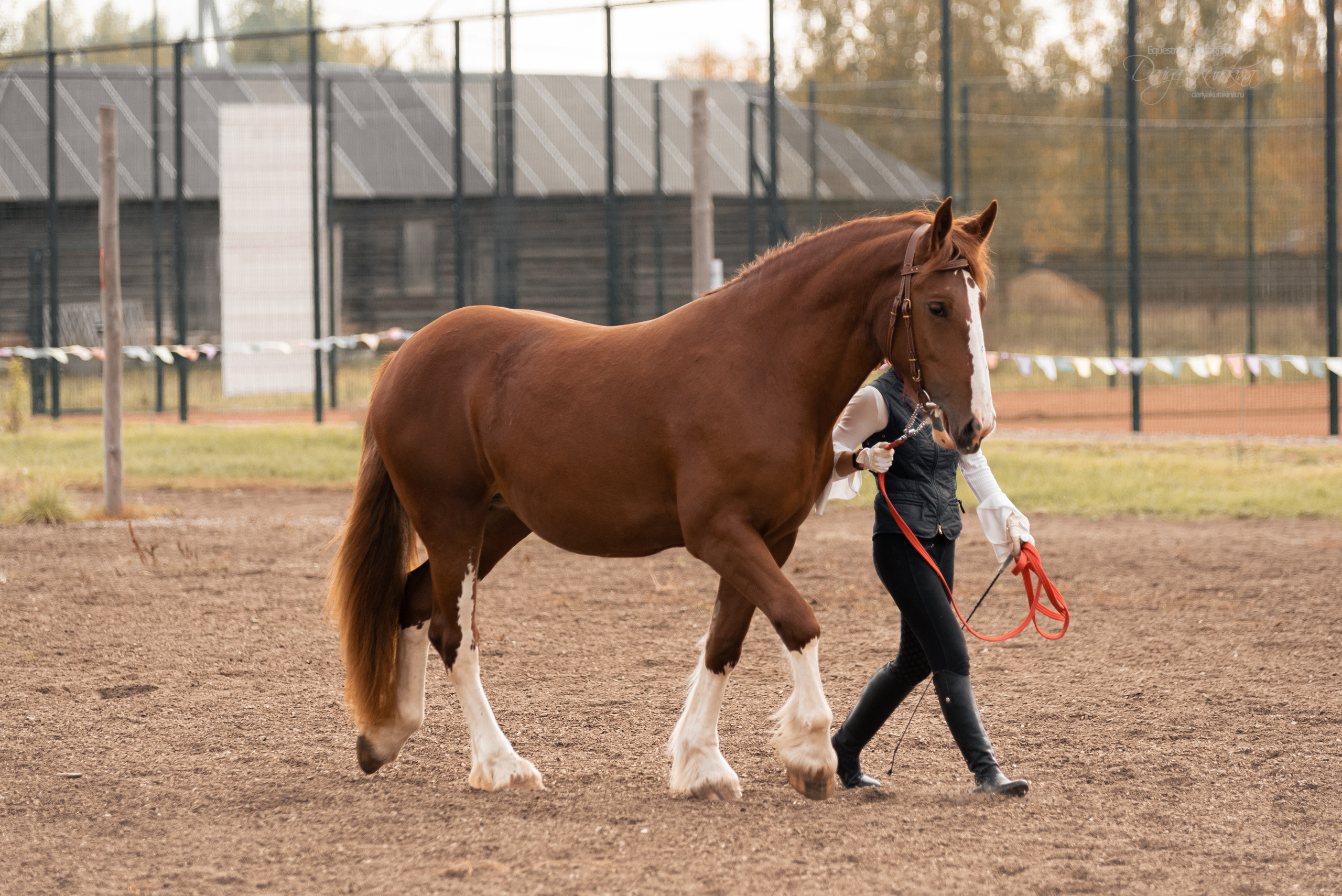 Богдарня. Конный фотограф Куракина Дарья • Фотосессии с лошадьми