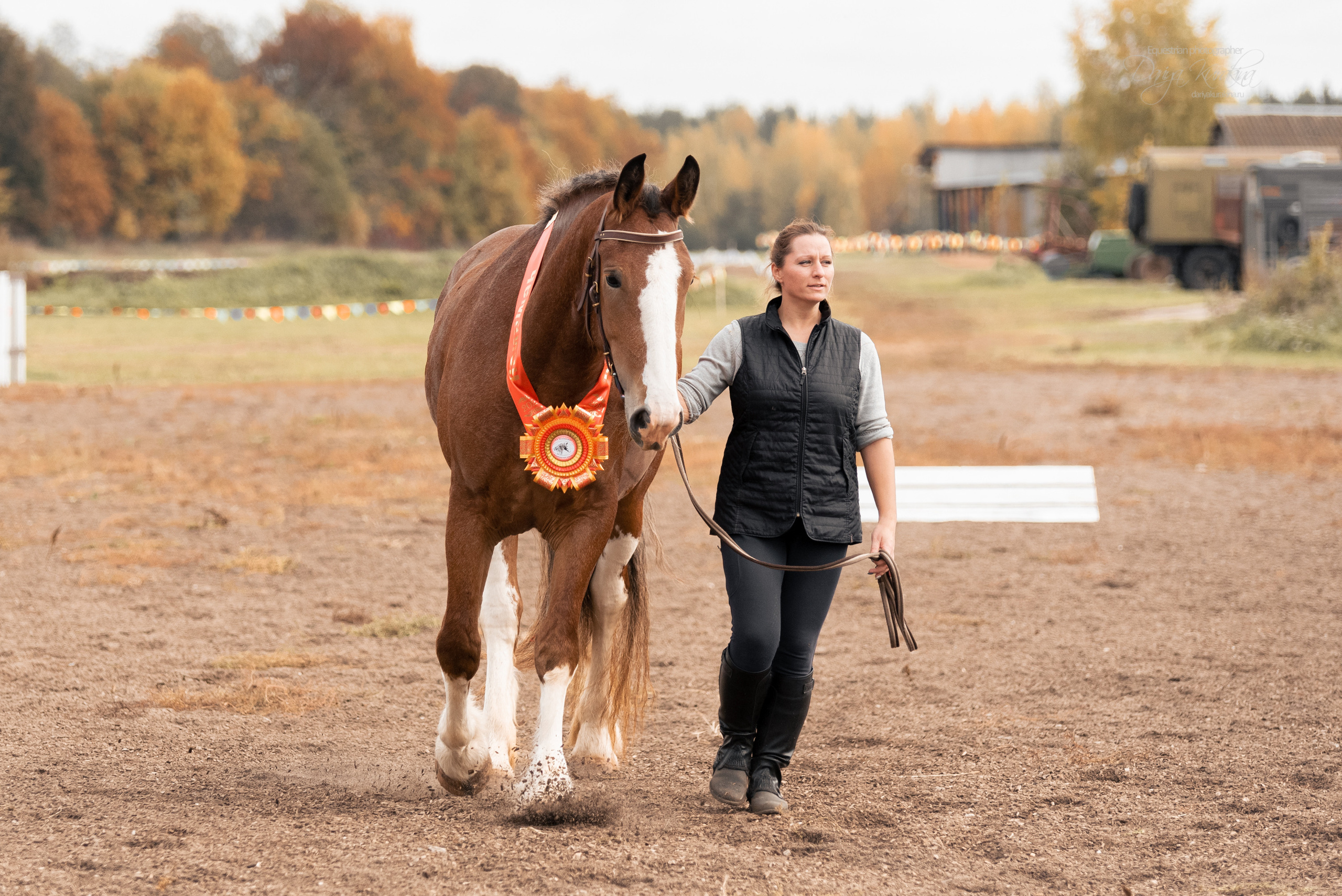 Богдарня. Конный фотограф Куракина Дарья • Фотосессии с лошадьми