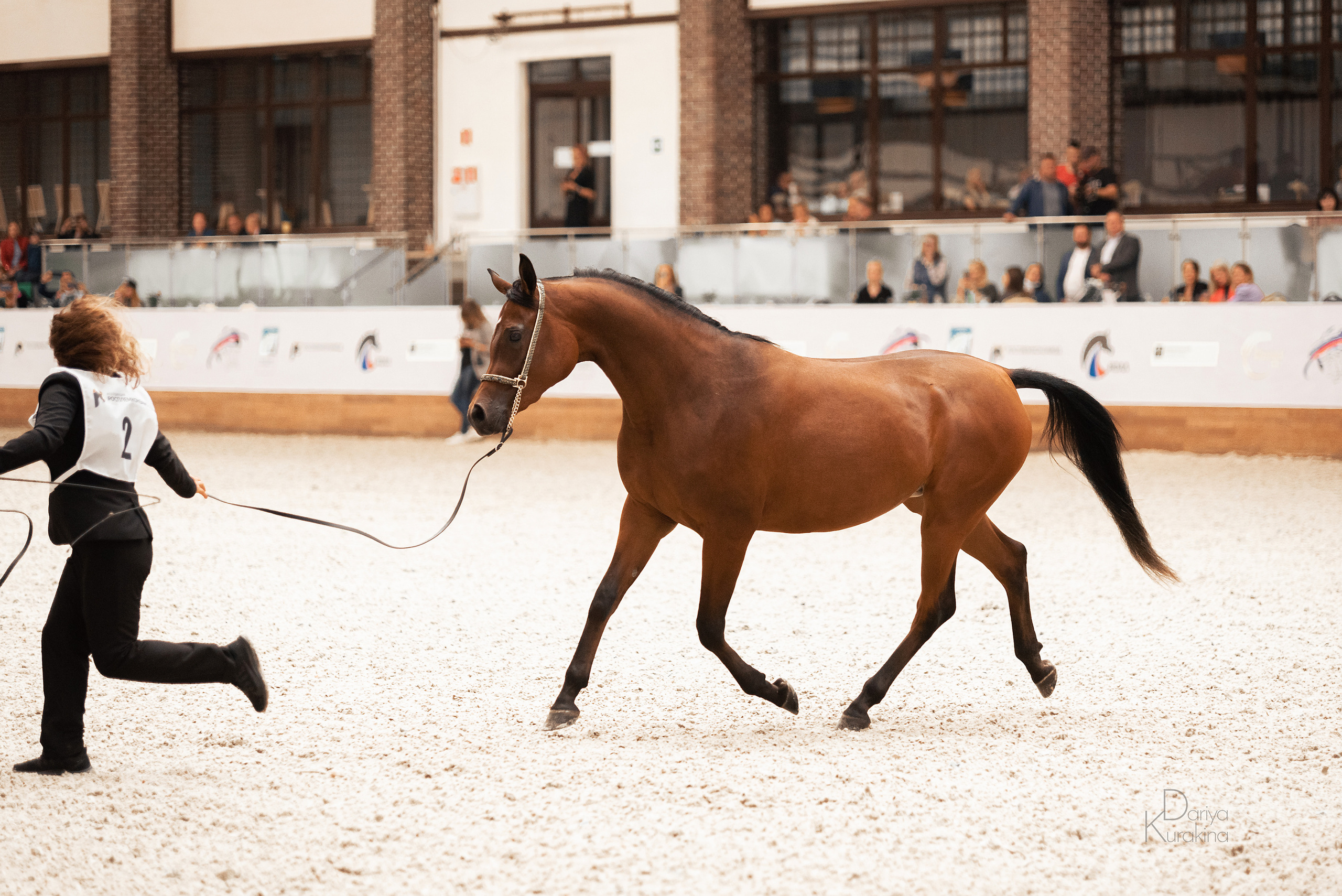 Конная Россия 2021. Конный фотограф Куракина Дарья • Фотосессии с лошадьми