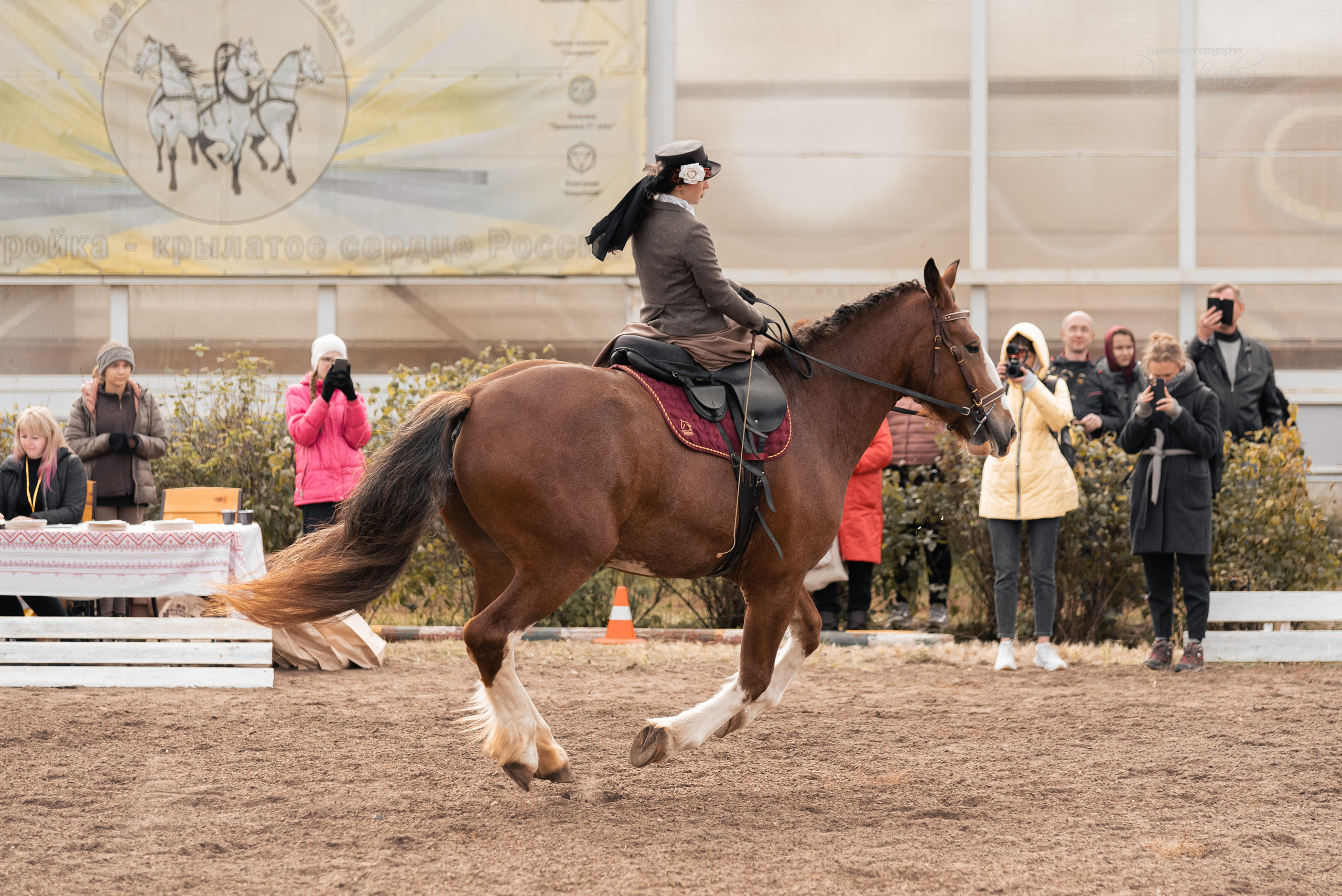 Богдарня. Конный фотограф Куракина Дарья • Фотосессии с лошадьми