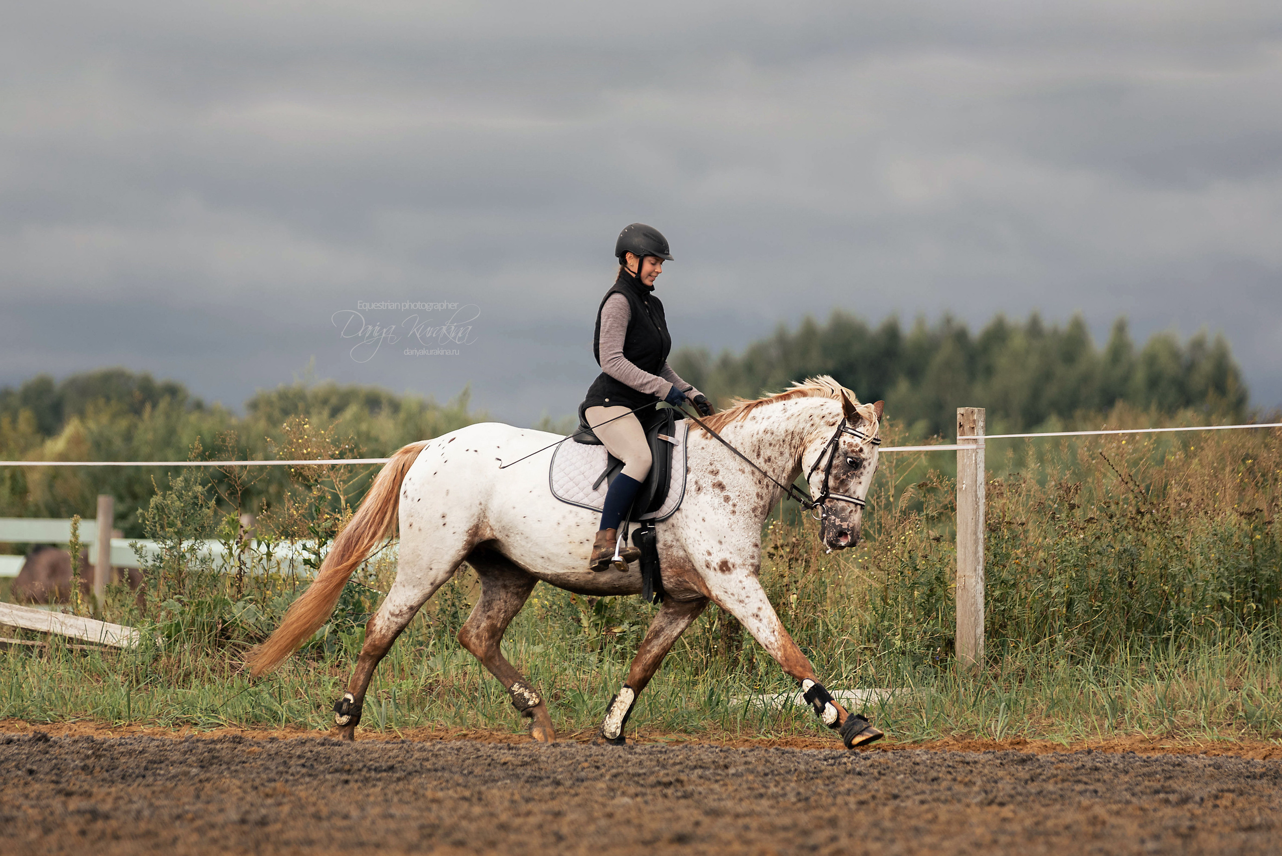 Кнабы. Конный фотограф Куракина Дарья • Фотосессии с лошадьми