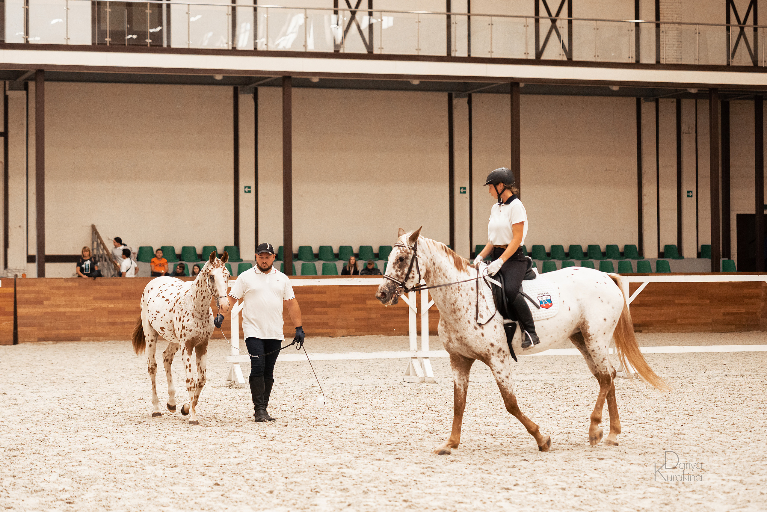 Конная Россия 2021. Конный фотограф Куракина Дарья • Фотосессии с лошадьми