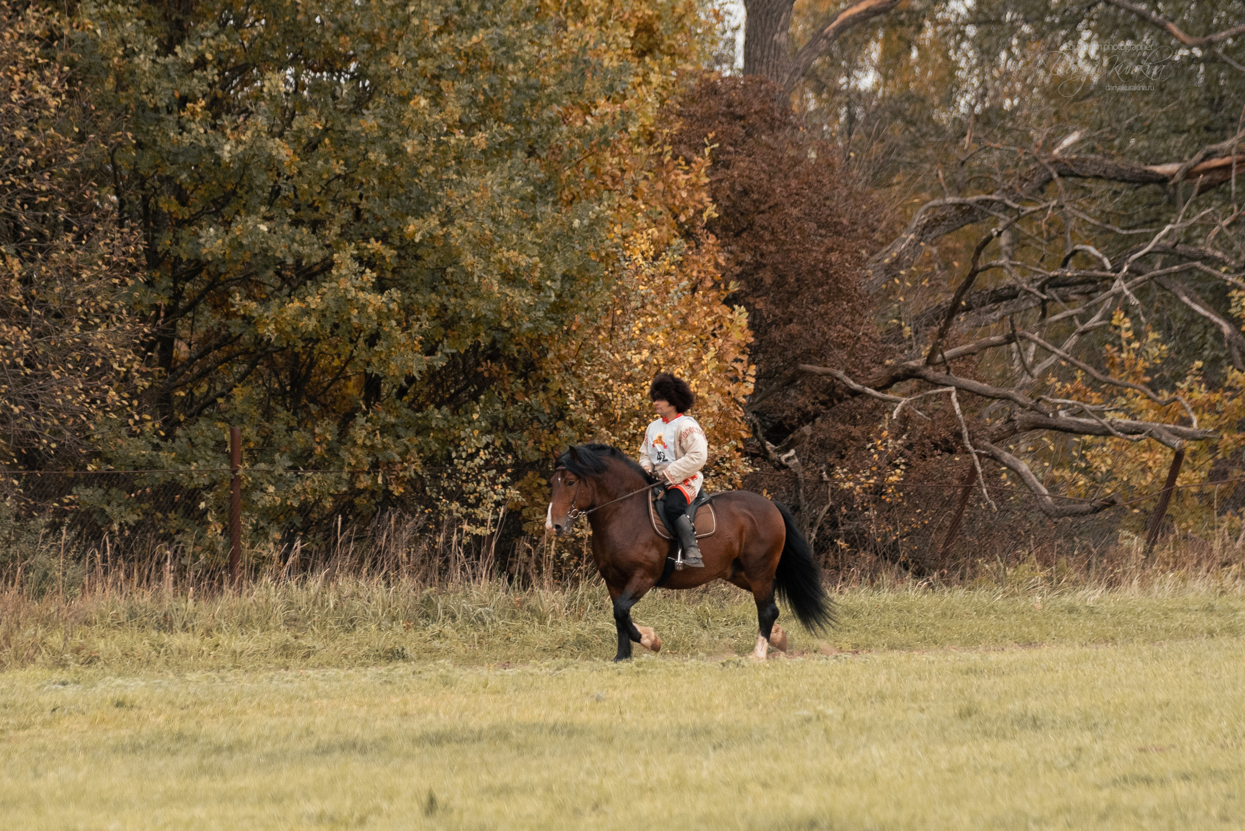 Богдарня. Конный фотограф Куракина Дарья • Фотосессии с лошадьми