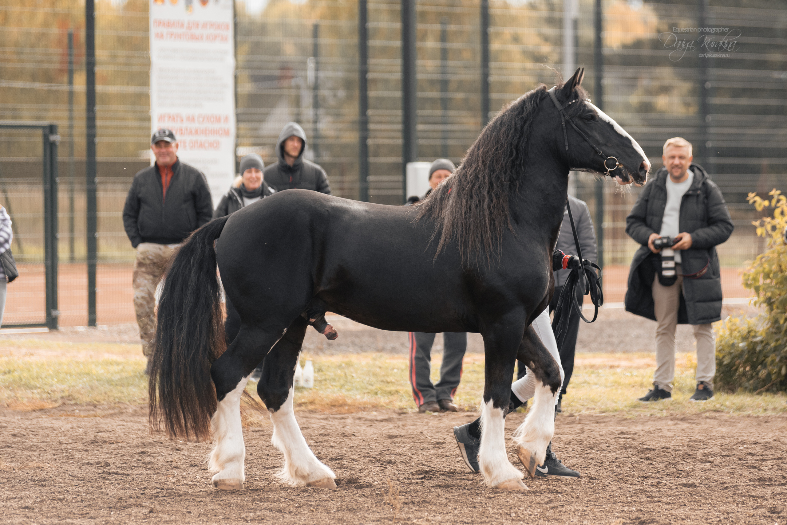 Богдарня. Конный фотограф Куракина Дарья • Фотосессии с лошадьми