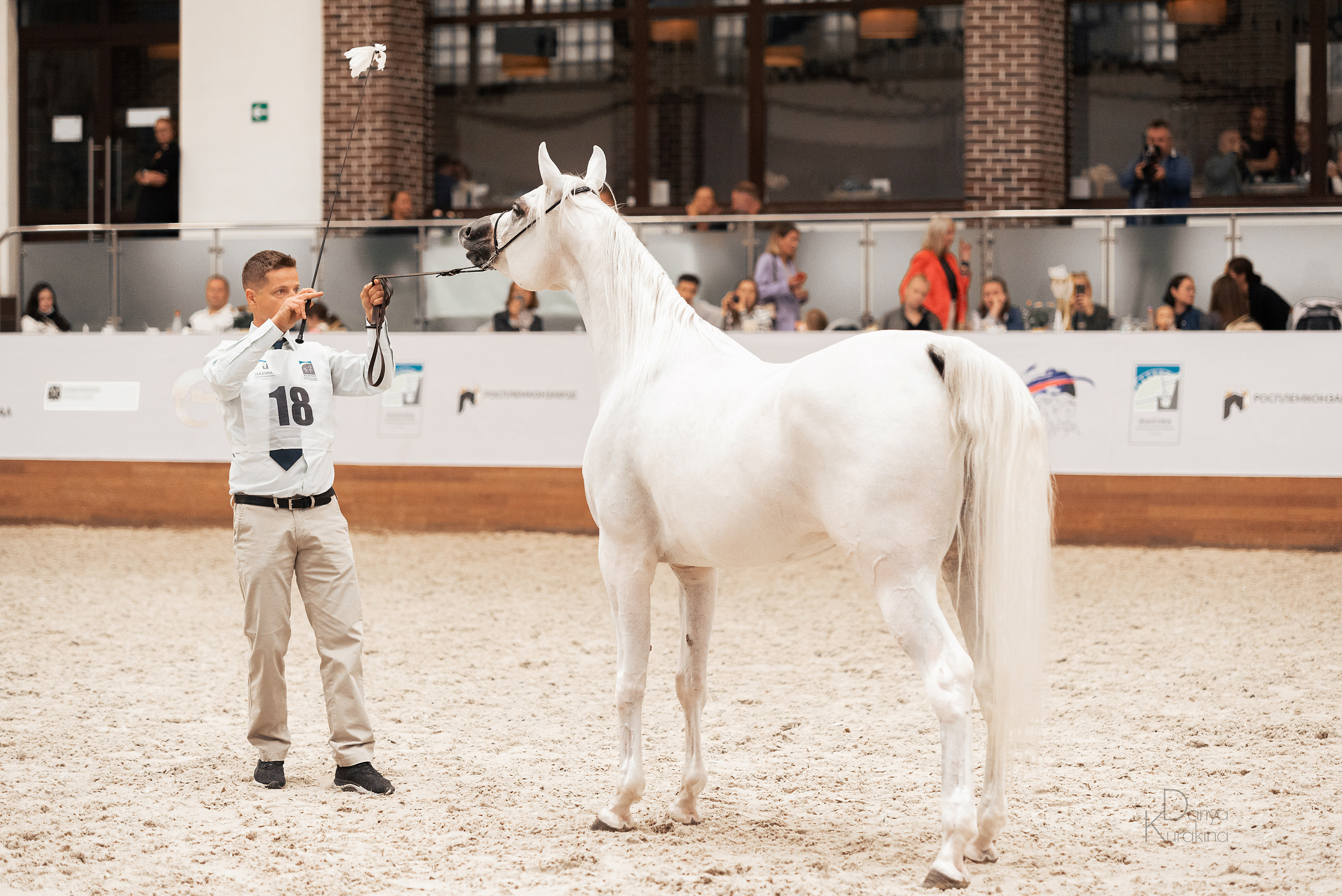 Конная Россия 2021. Конный фотограф Куракина Дарья • Фотосессии с лошадьми