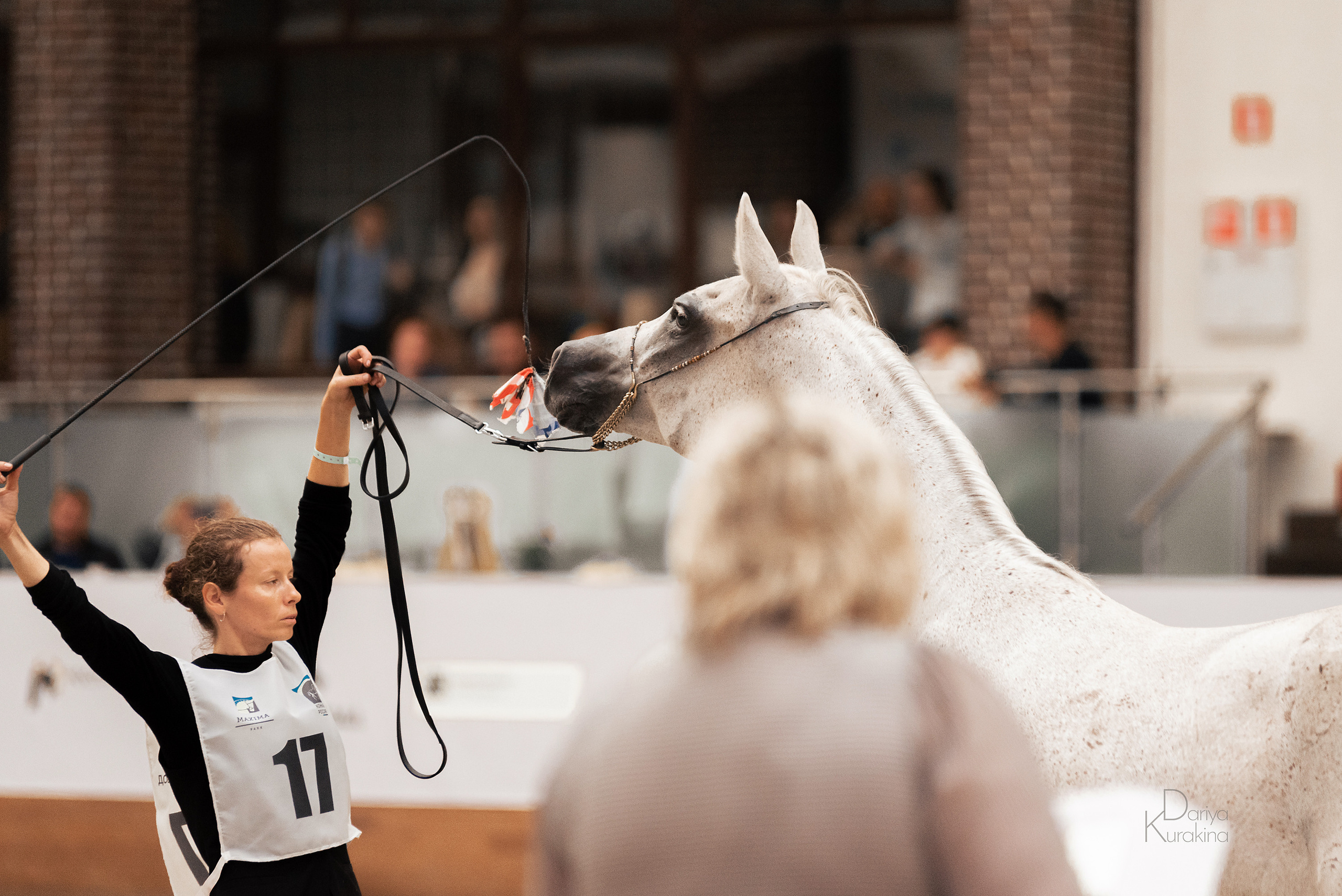 Конная Россия 2021. Конный фотограф Куракина Дарья • Фотосессии с лошадьми