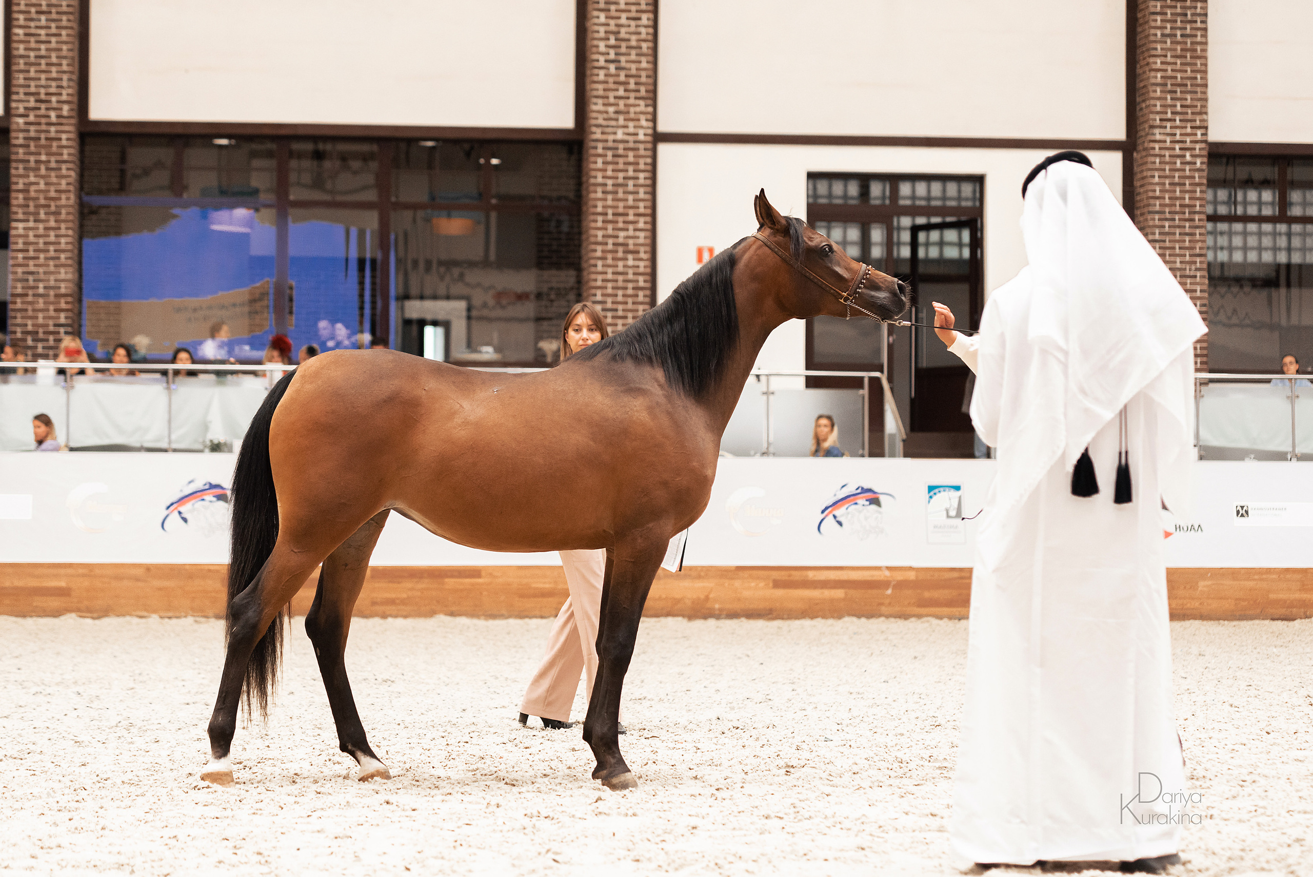 Конная Россия 2021. Конный фотограф Куракина Дарья • Фотосессии с лошадьми