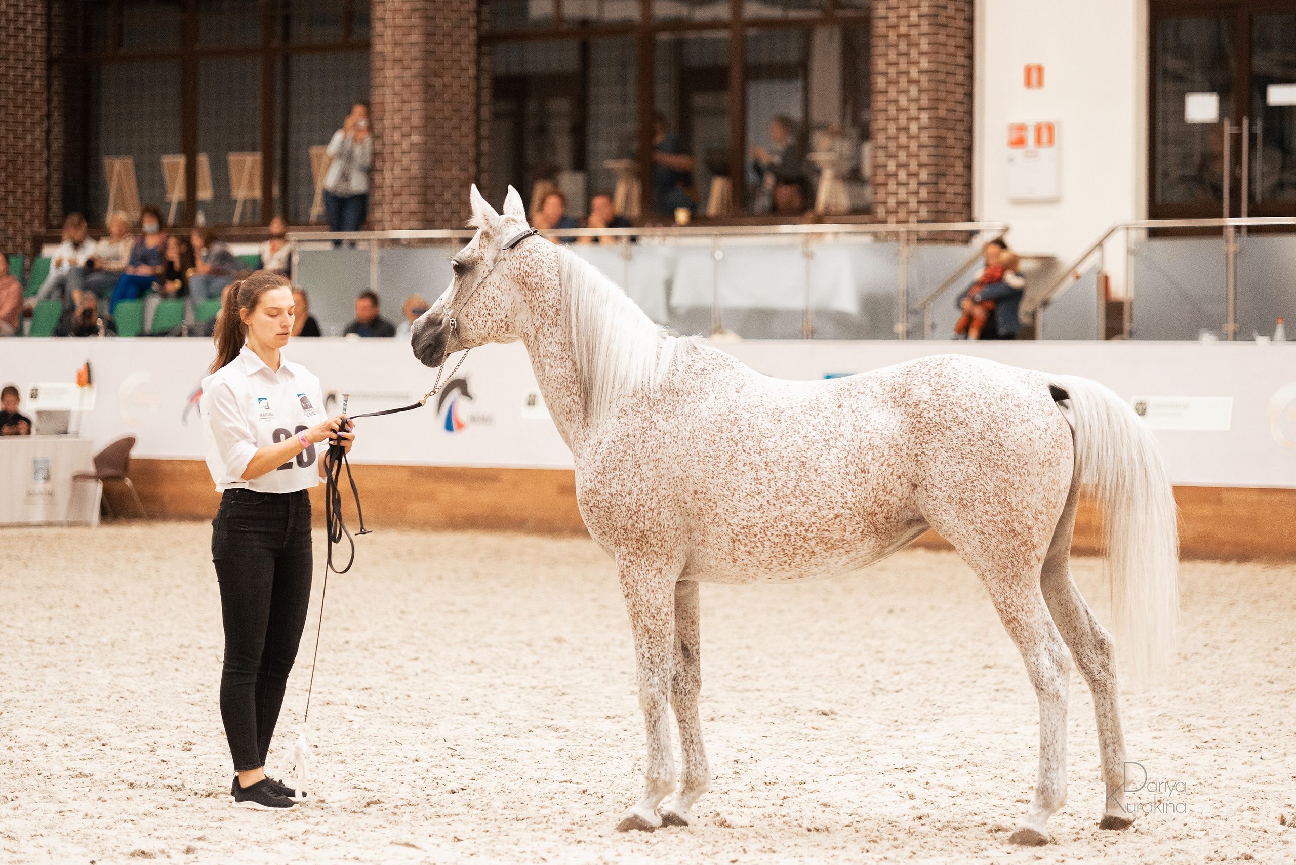 Конная Россия 2021. Конный фотограф Куракина Дарья • Фотосессии с лошадьми