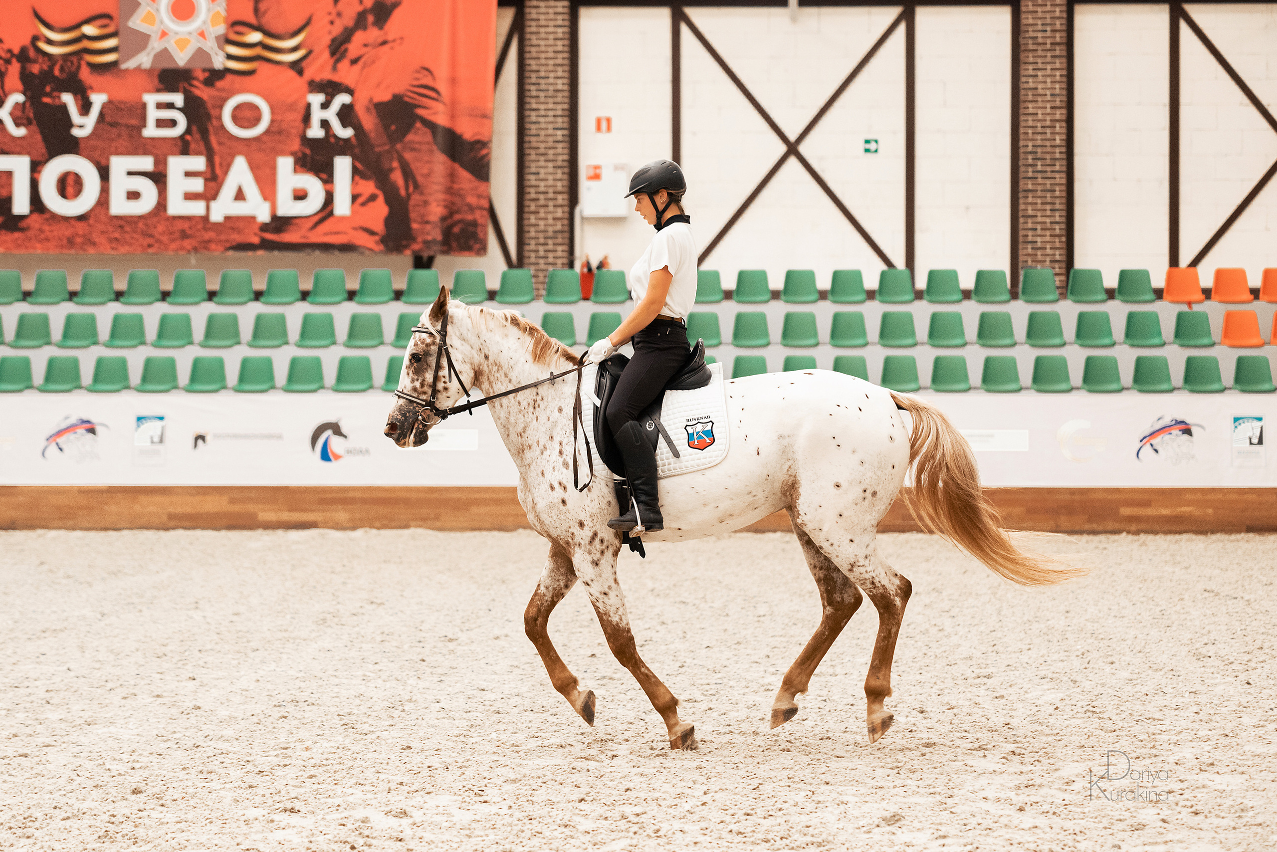 Конная Россия 2021. Конный фотограф Куракина Дарья • Фотосессии с лошадьми