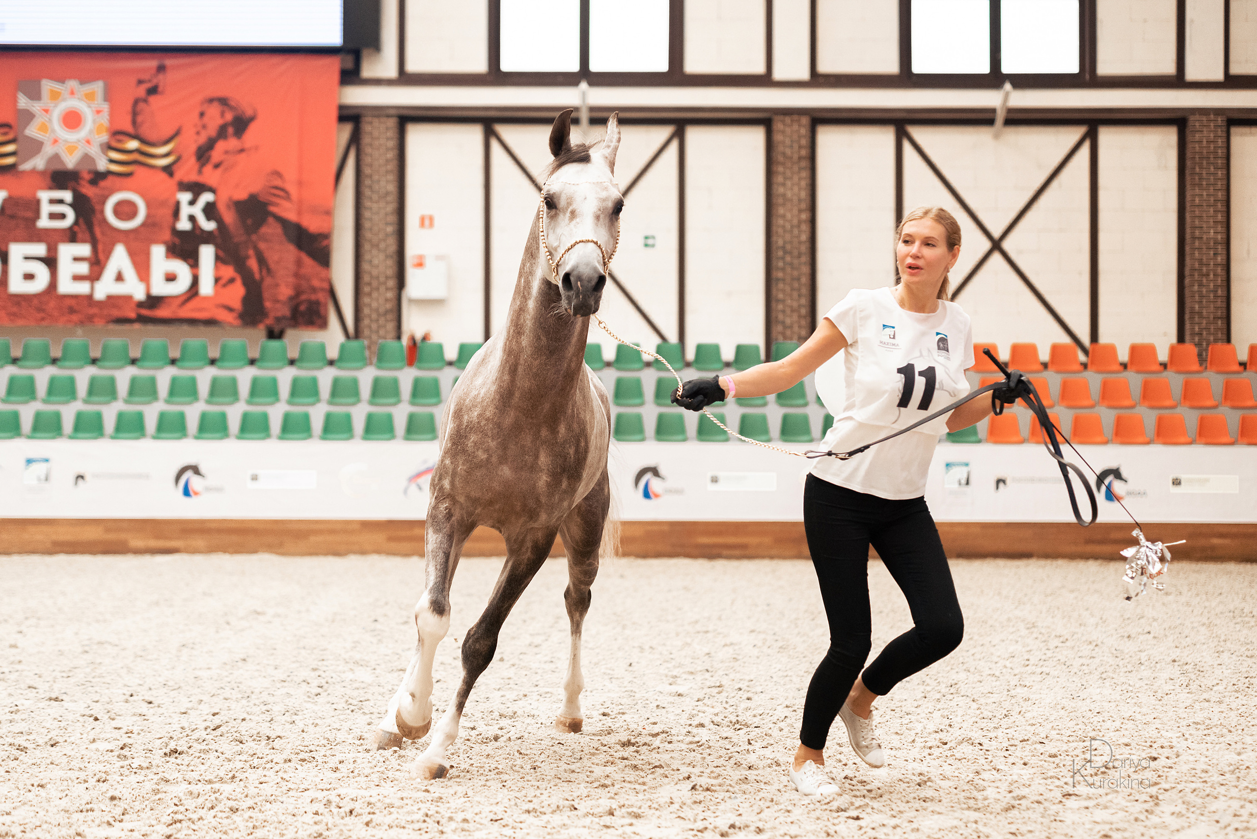 Конная Россия 2021. Конный фотограф Куракина Дарья • Фотосессии с лошадьми