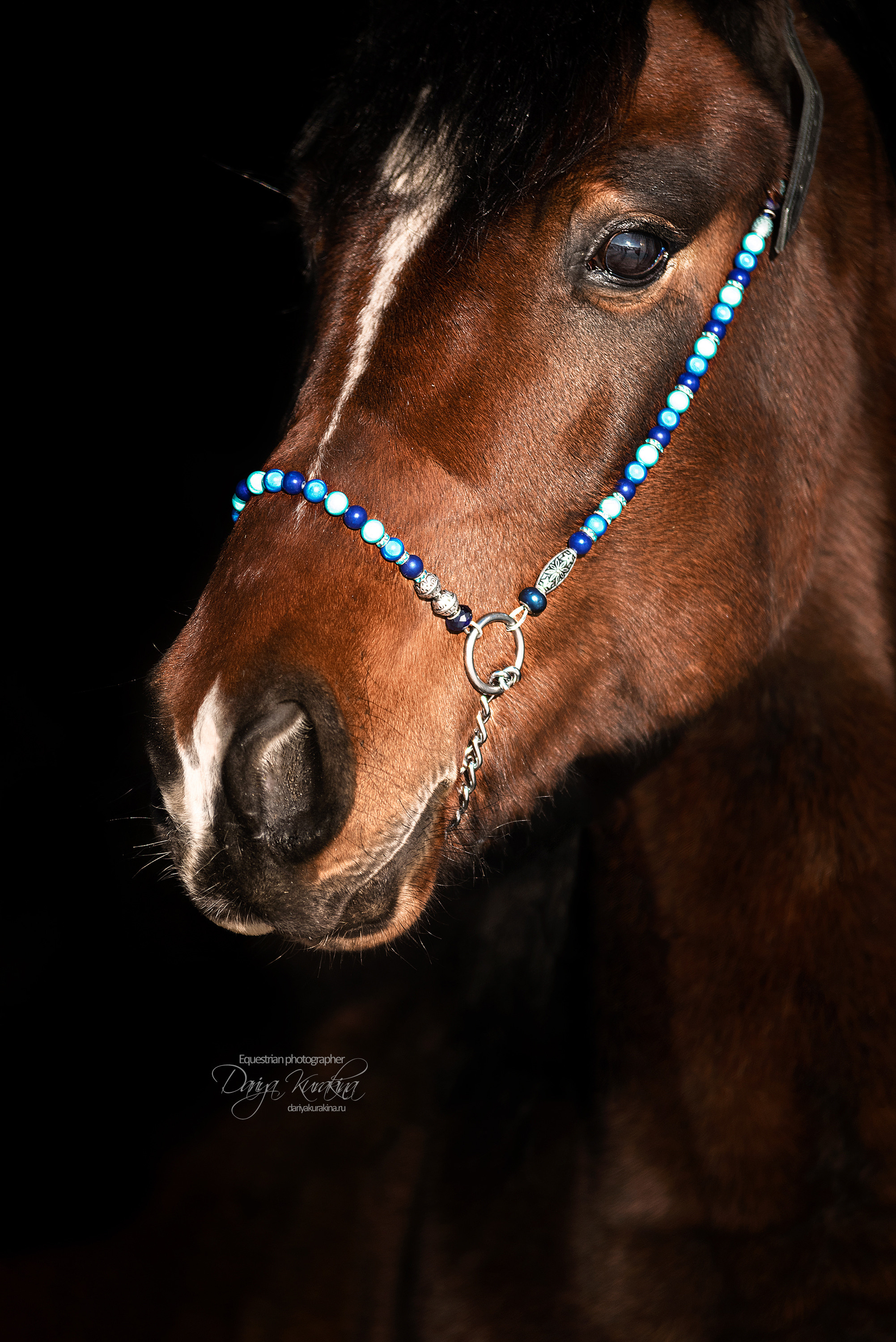 Сияние. Конный фотограф Куракина Дарья • Фотосессии с лошадьми