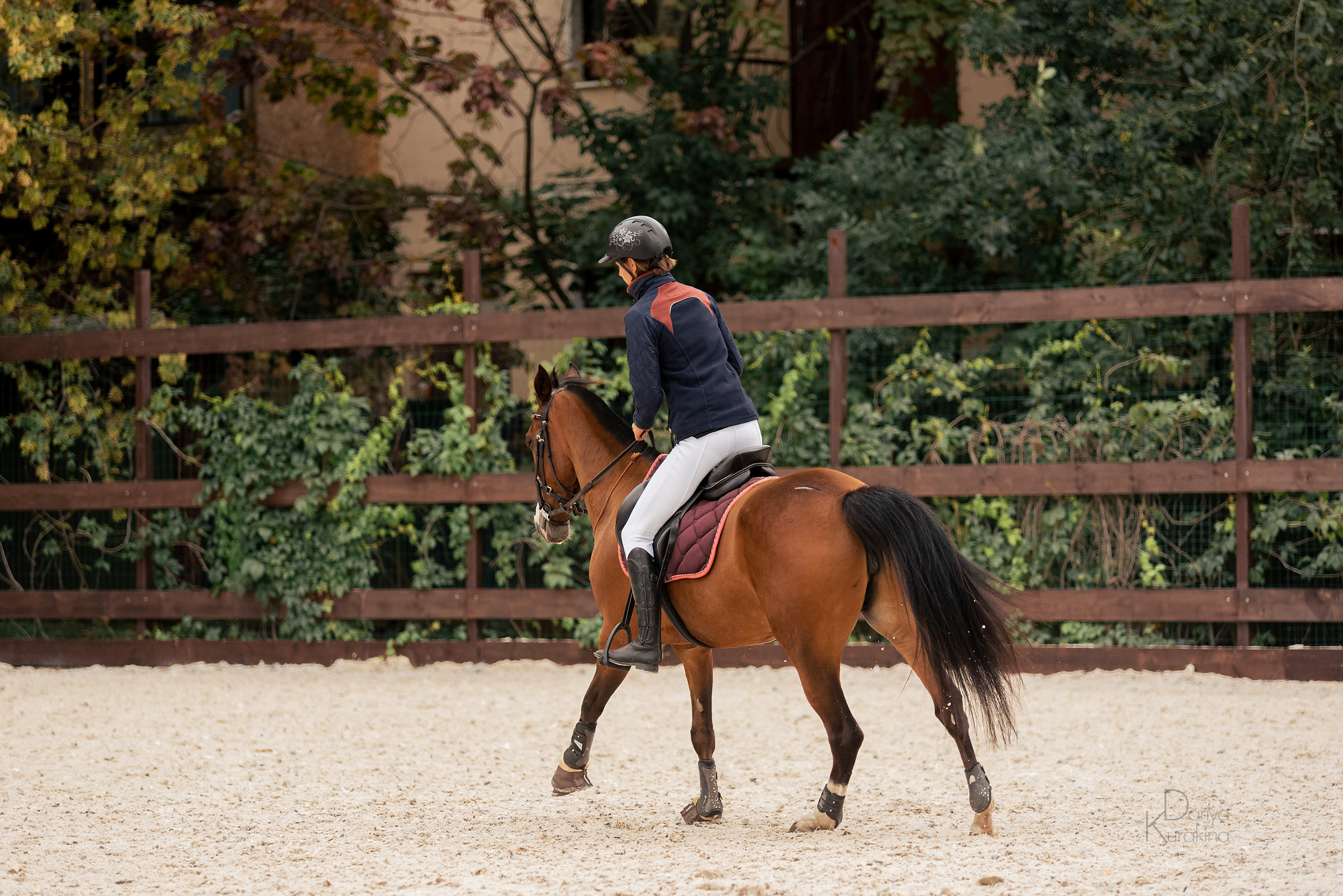 КСК Белая Дача, конкур. Конный фотограф Куракина Дарья • Фотосессии с лошадьми