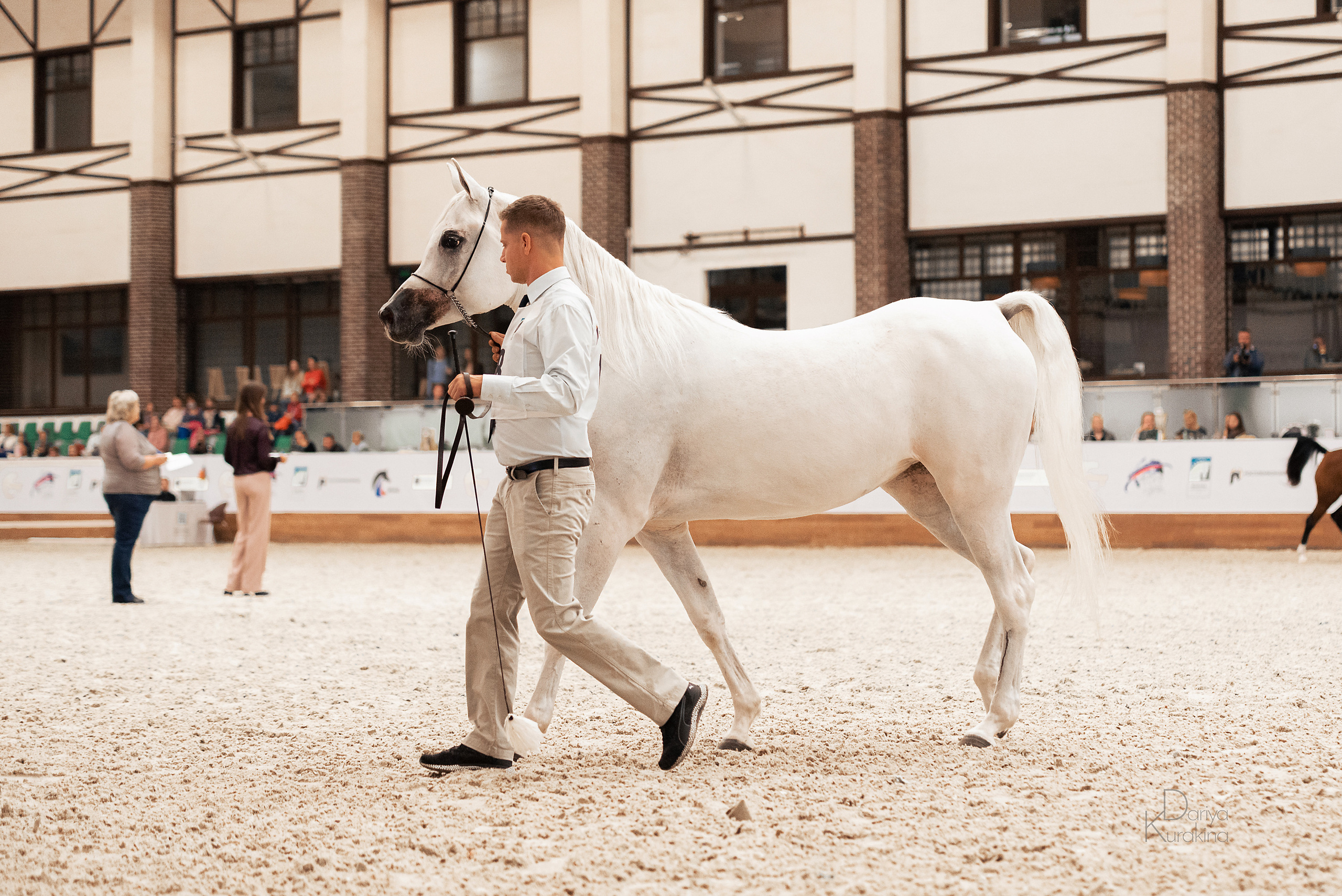 Конная Россия 2021. Конный фотограф Куракина Дарья • Фотосессии с лошадьми