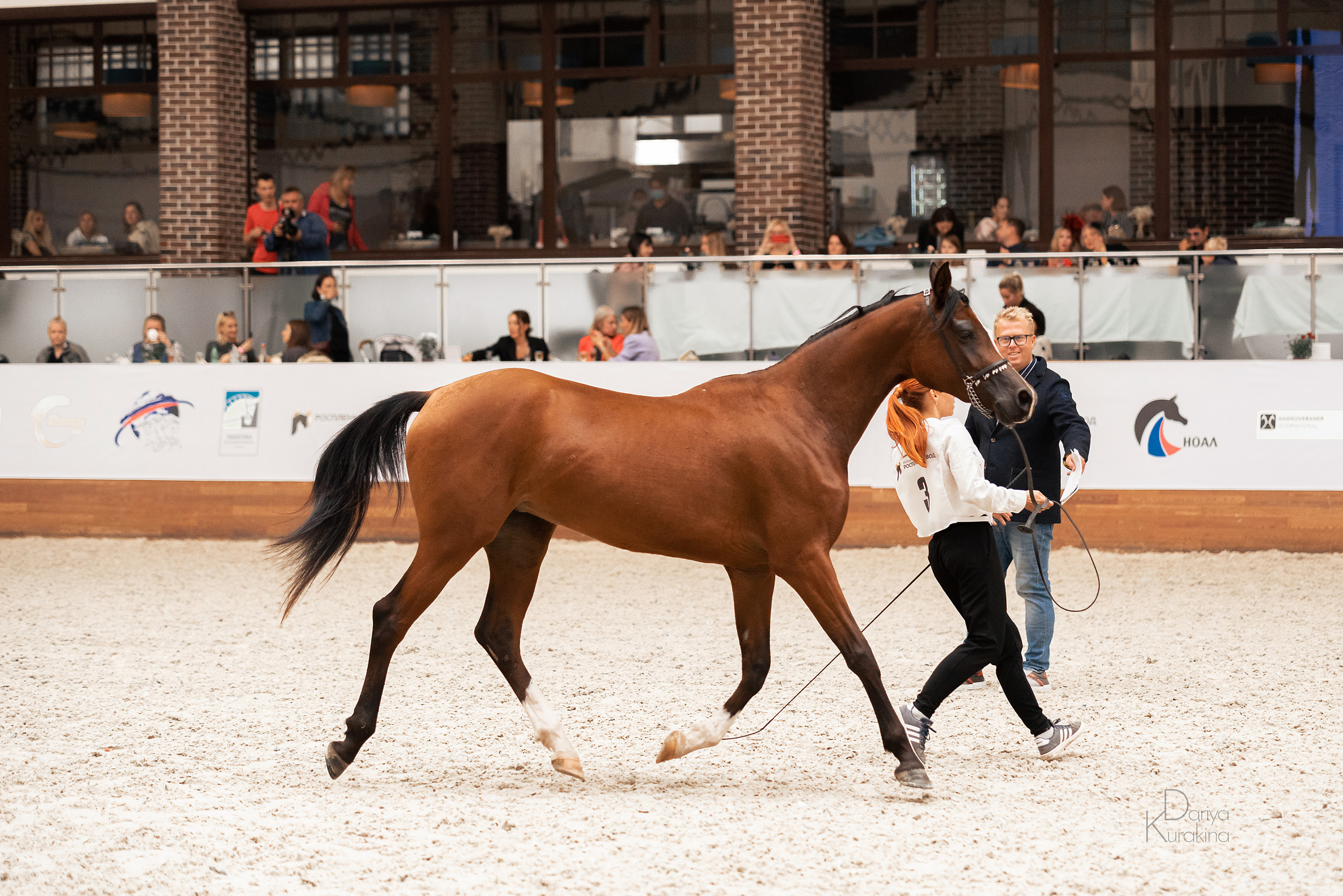 Конная Россия 2021. Конный фотограф Куракина Дарья • Фотосессии с лошадьми