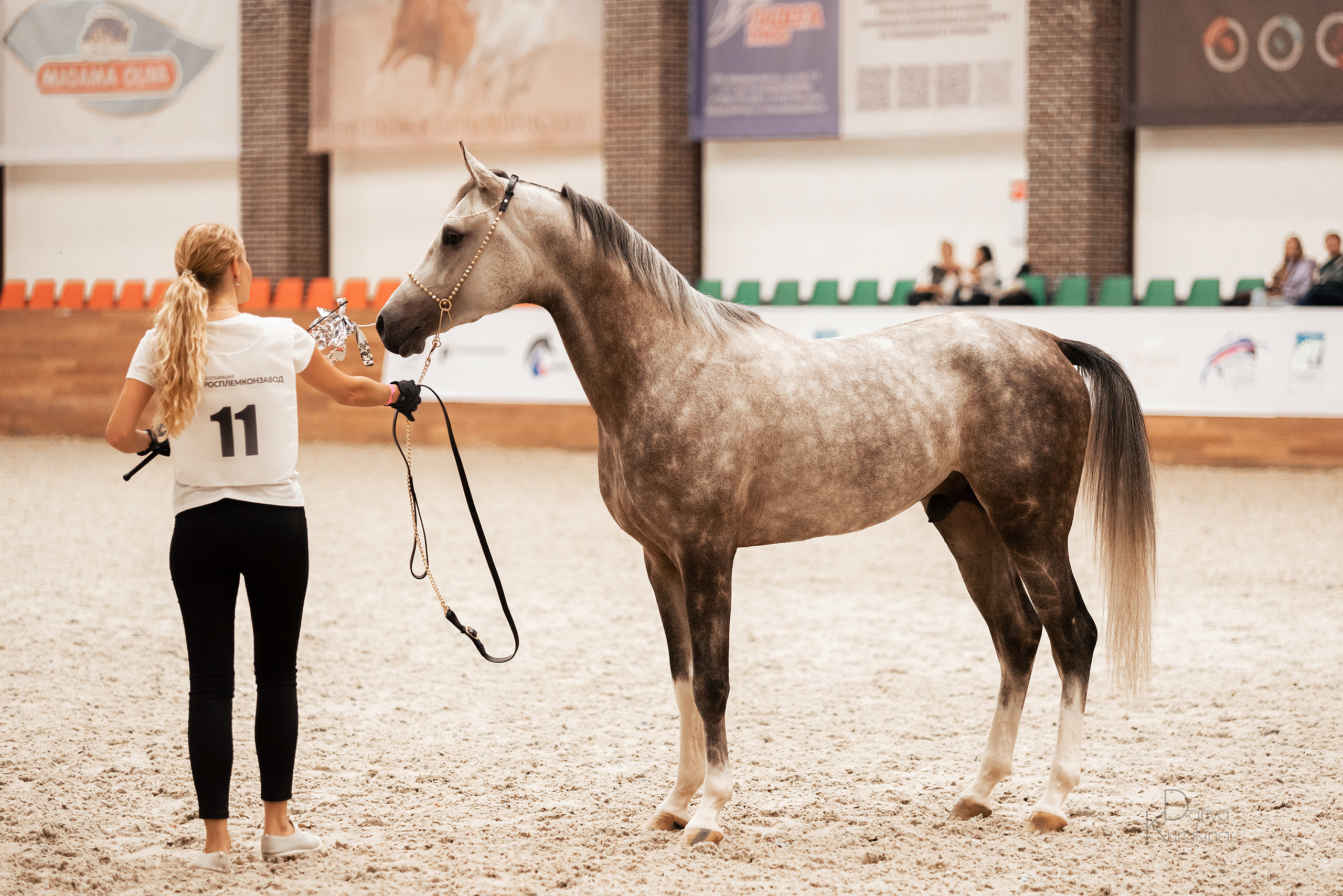 Конная Россия 2021. Конный фотограф Куракина Дарья • Фотосессии с лошадьми