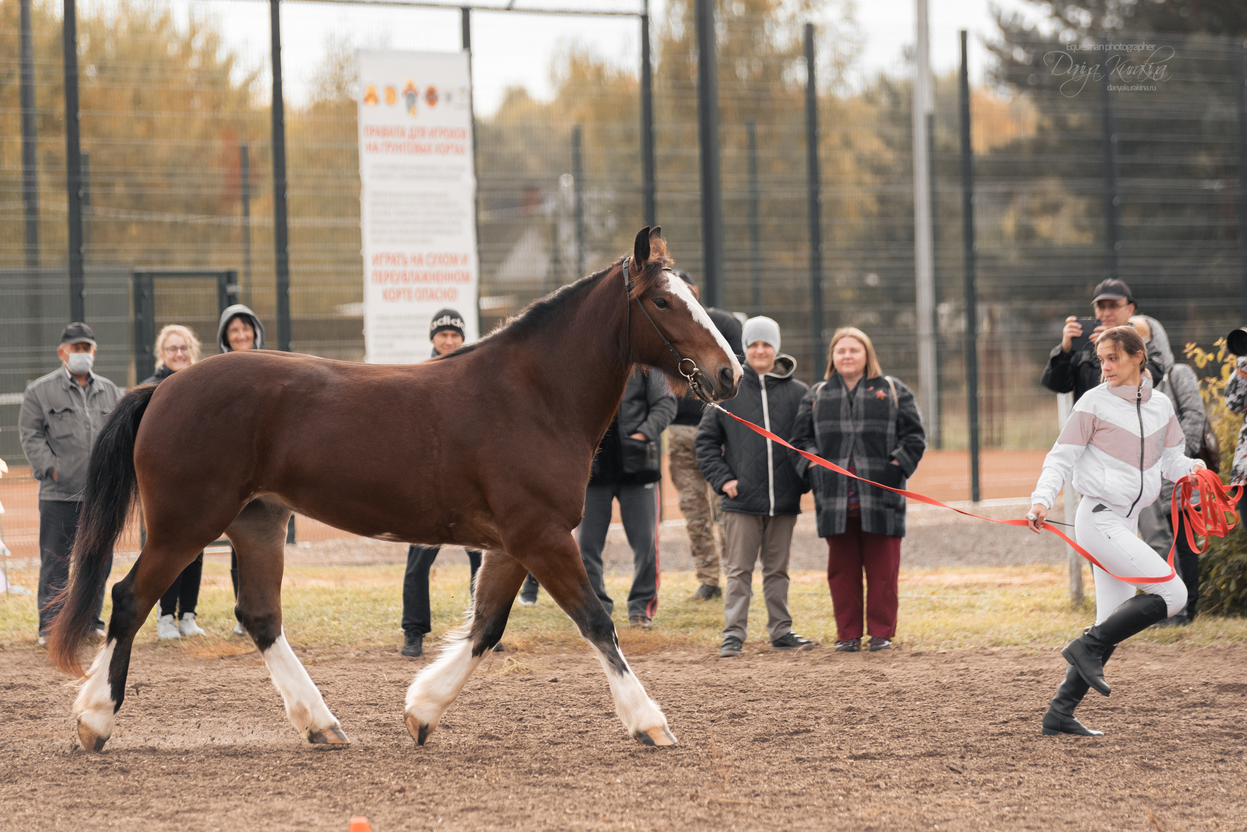 Богдарня. Конный фотограф Куракина Дарья • Фотосессии с лошадьми