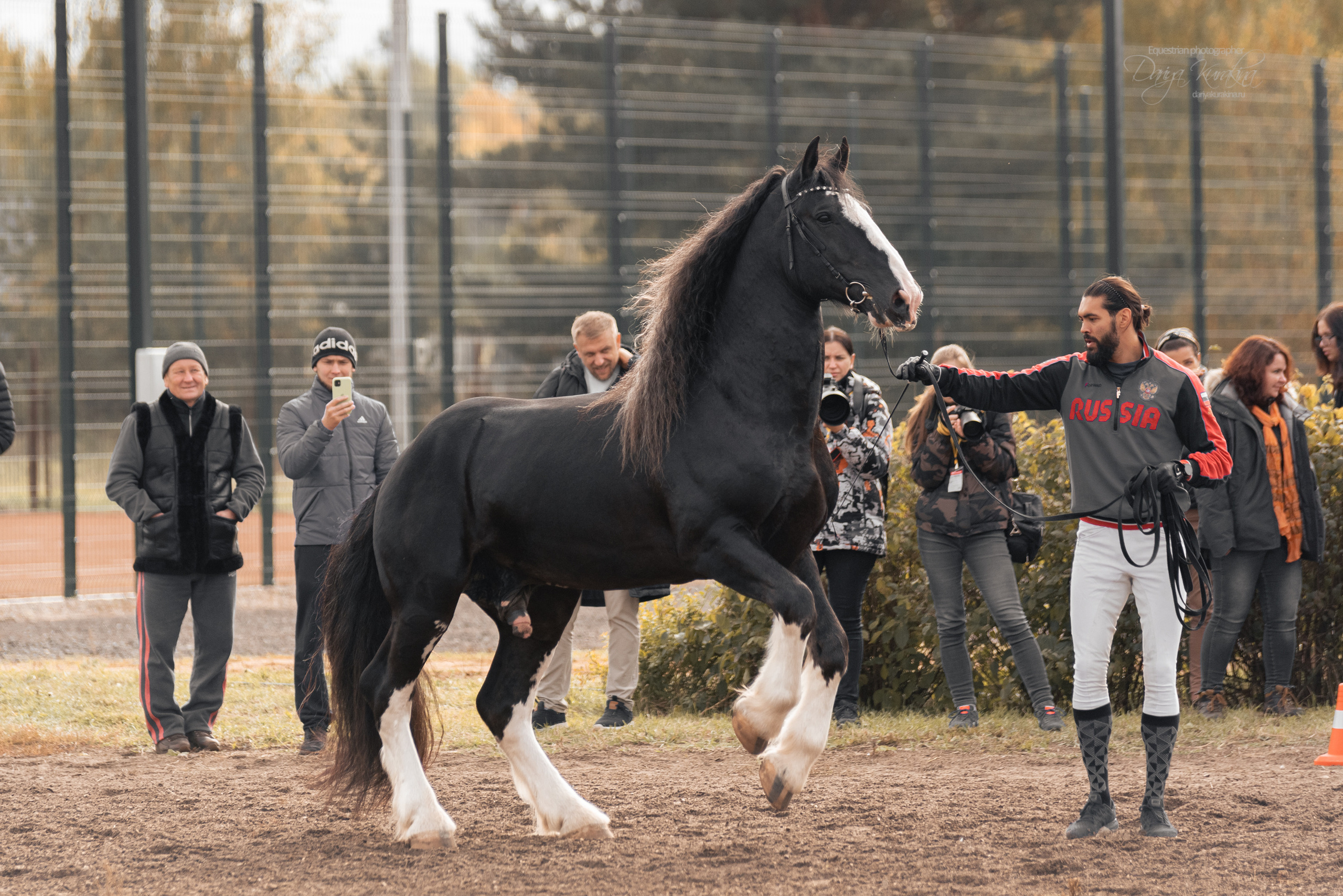 Богдарня. Конный фотограф Куракина Дарья • Фотосессии с лошадьми