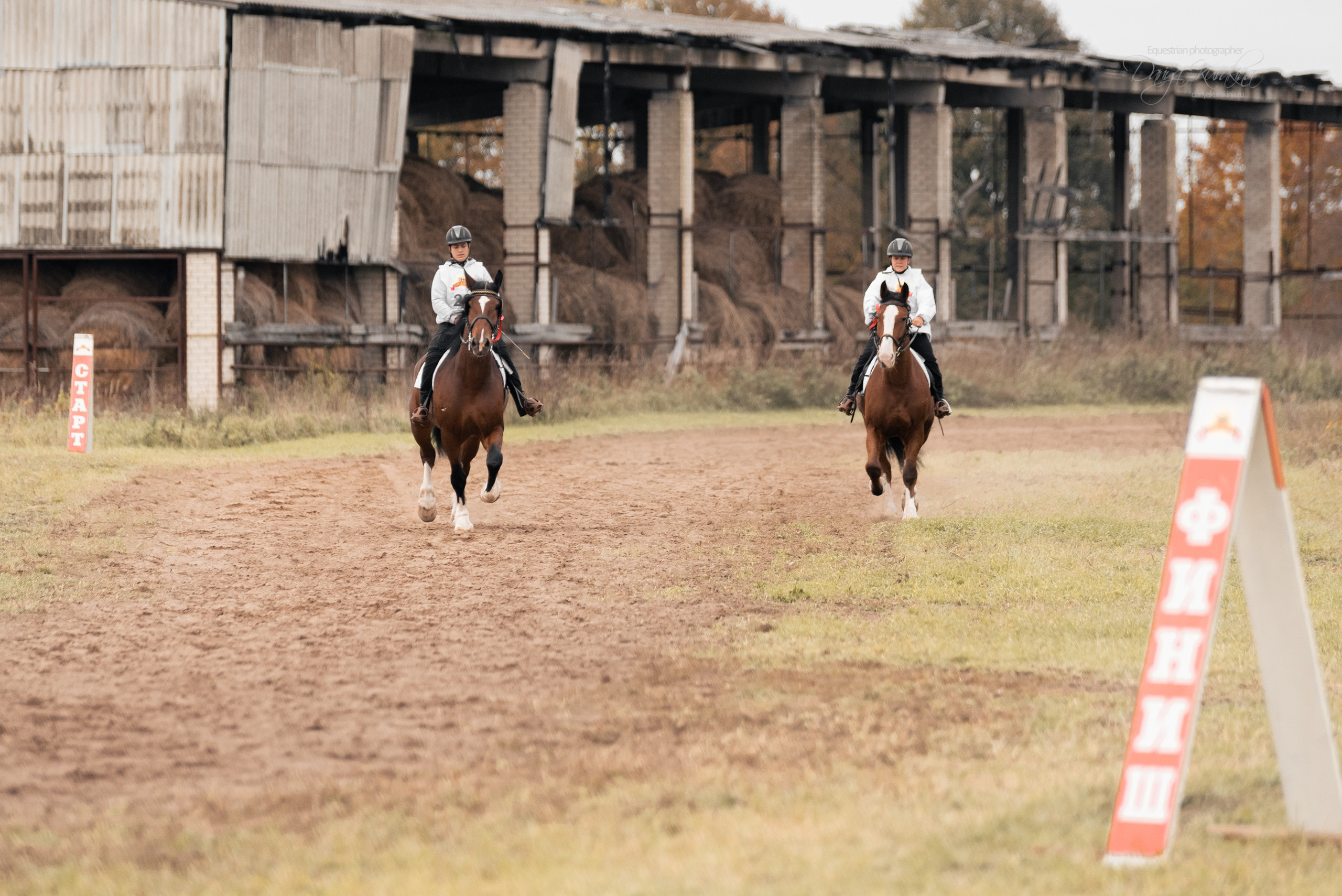 Богдарня. Конный фотограф Куракина Дарья • Фотосессии с лошадьми