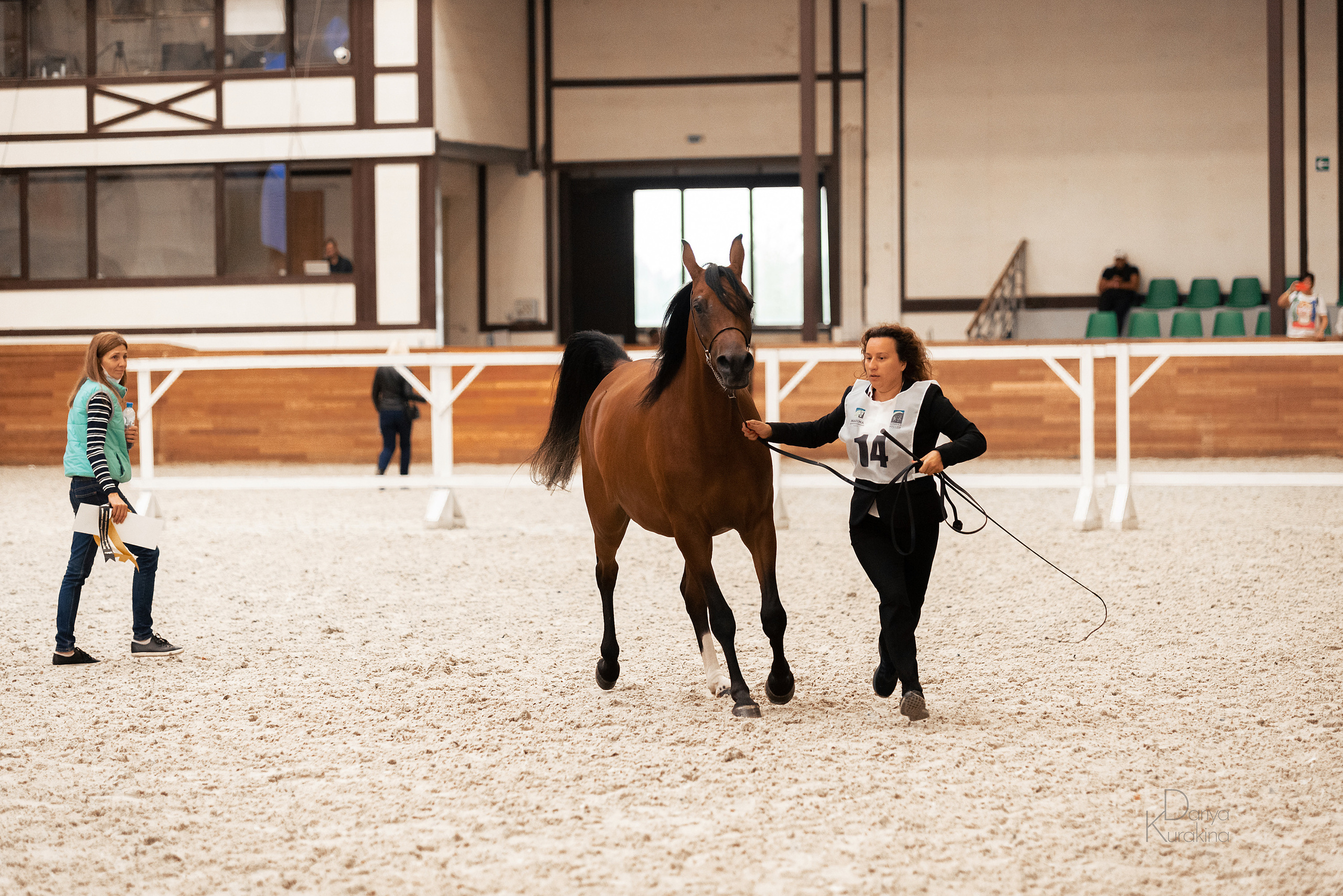 Конная Россия 2021. Конный фотограф Куракина Дарья • Фотосессии с лошадьми