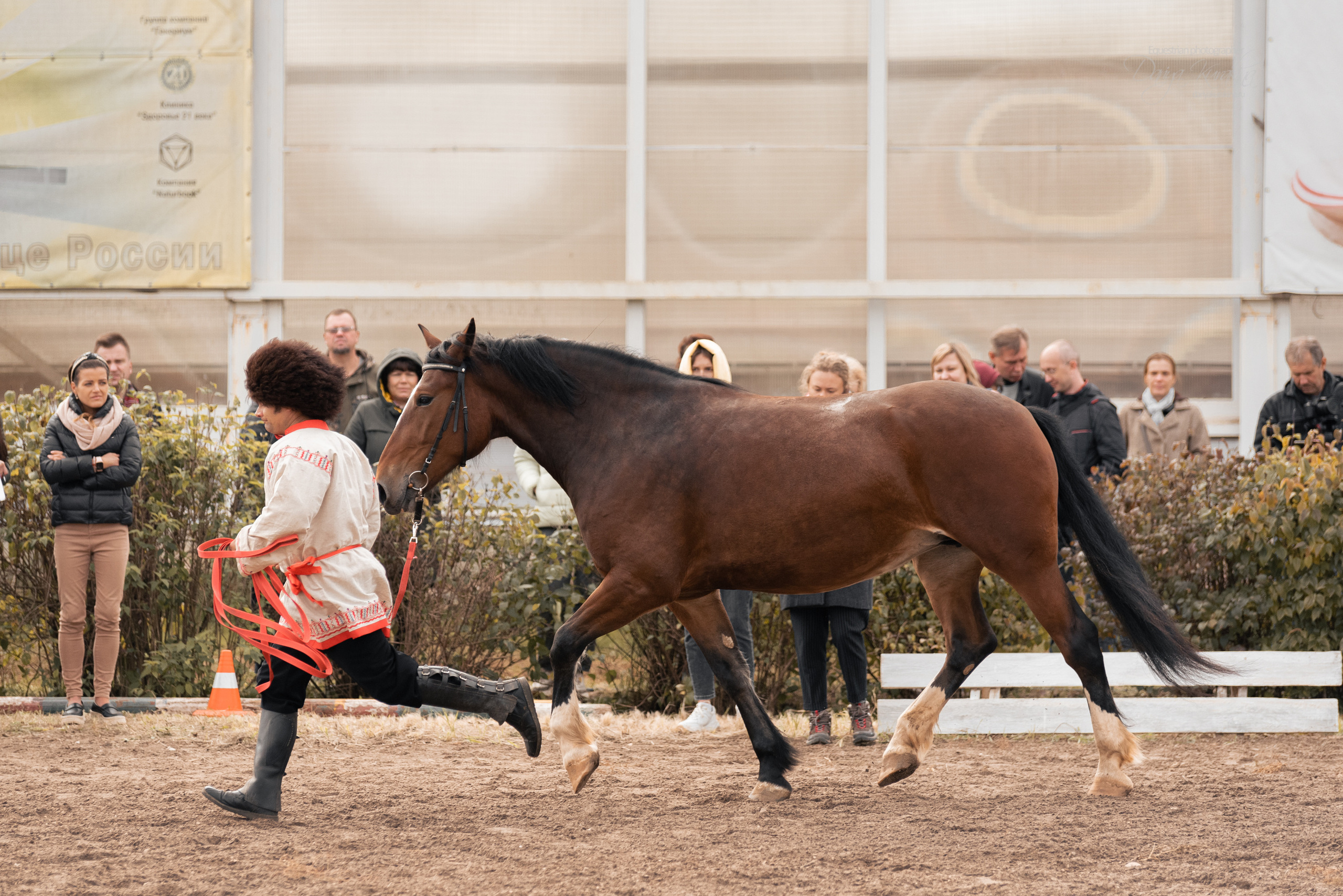 Богдарня. Конный фотограф Куракина Дарья • Фотосессии с лошадьми