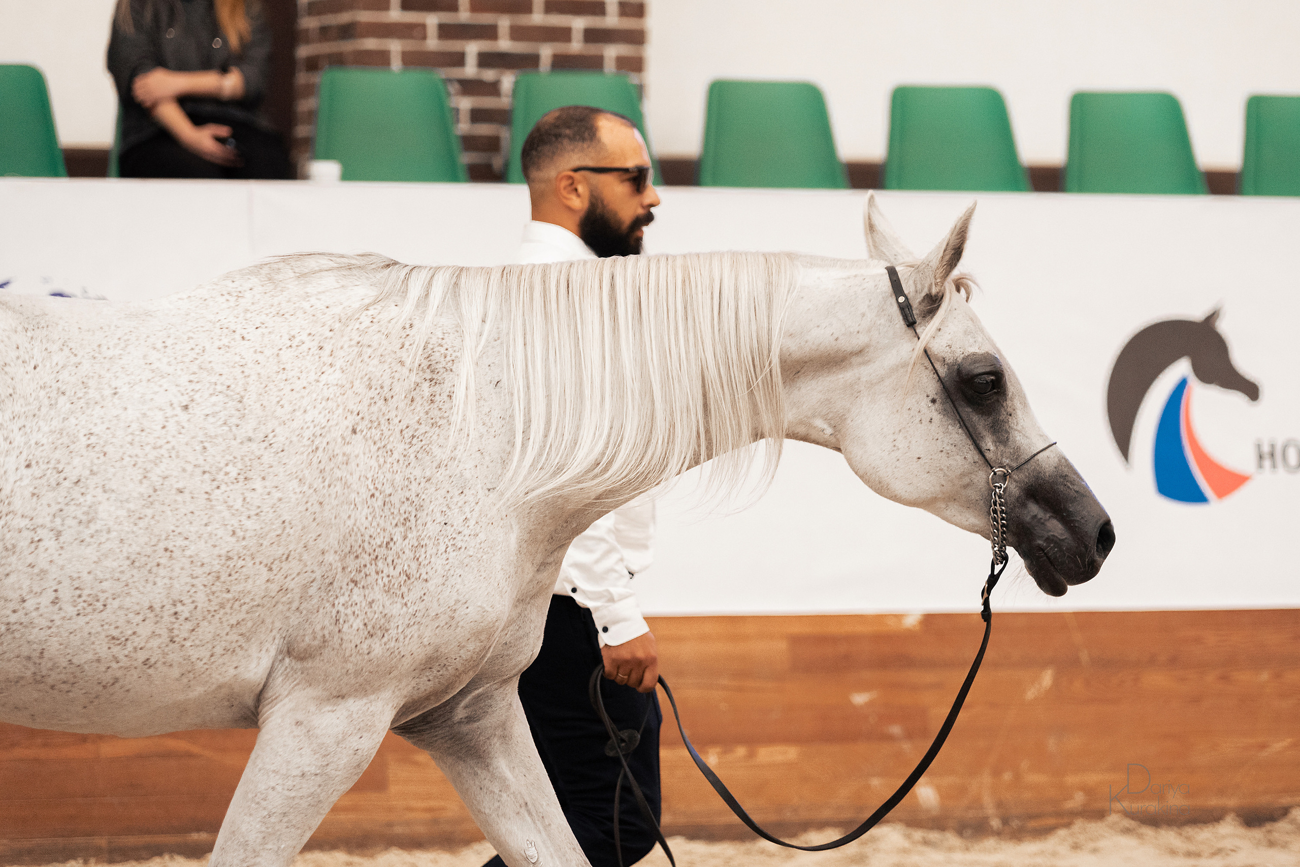 Конная Россия 2021. Конный фотограф Куракина Дарья • Фотосессии с лошадьми