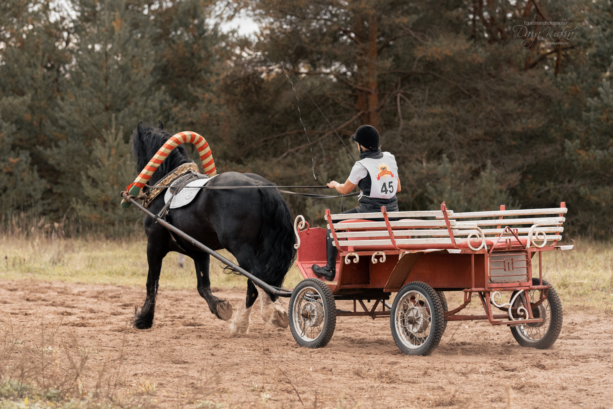Богдарня. Конный фотограф Куракина Дарья • Фотосессии с лошадьми
