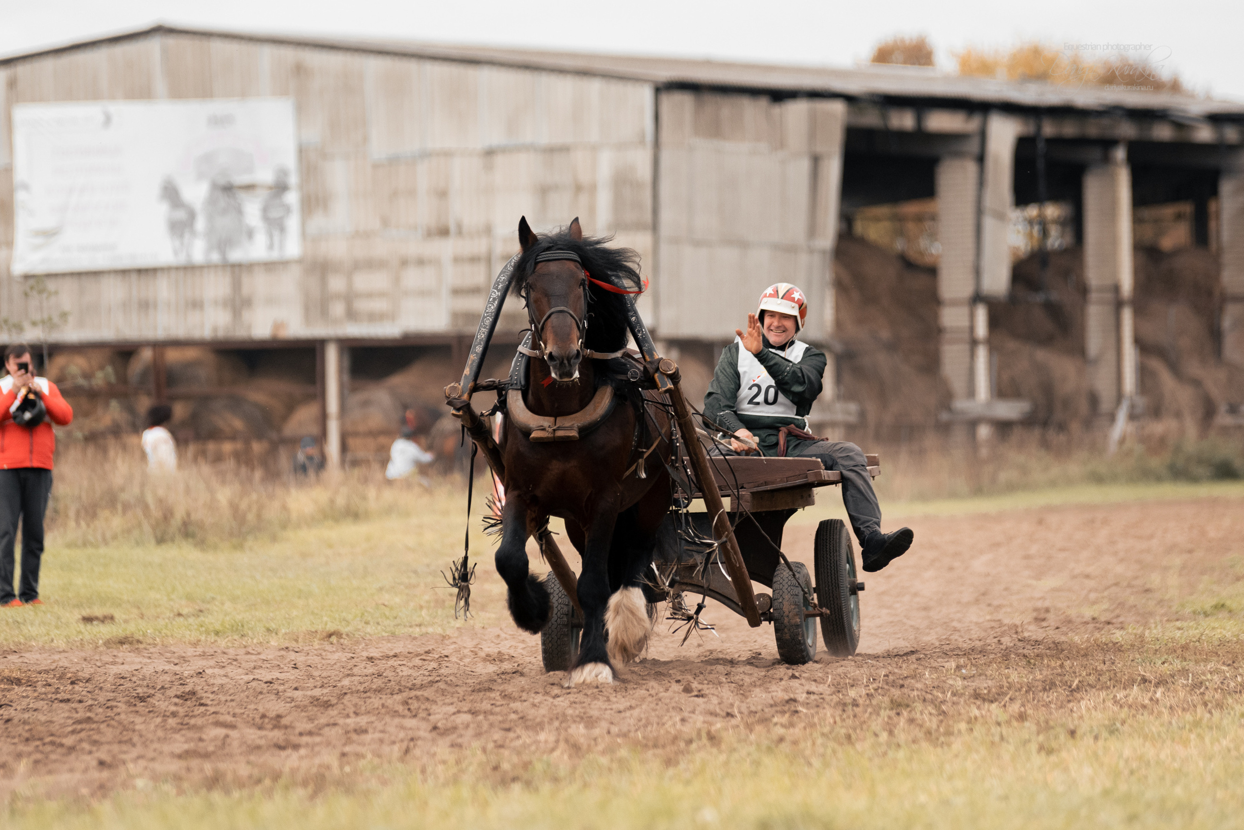 Богдарня. Конный фотограф Куракина Дарья • Фотосессии с лошадьми