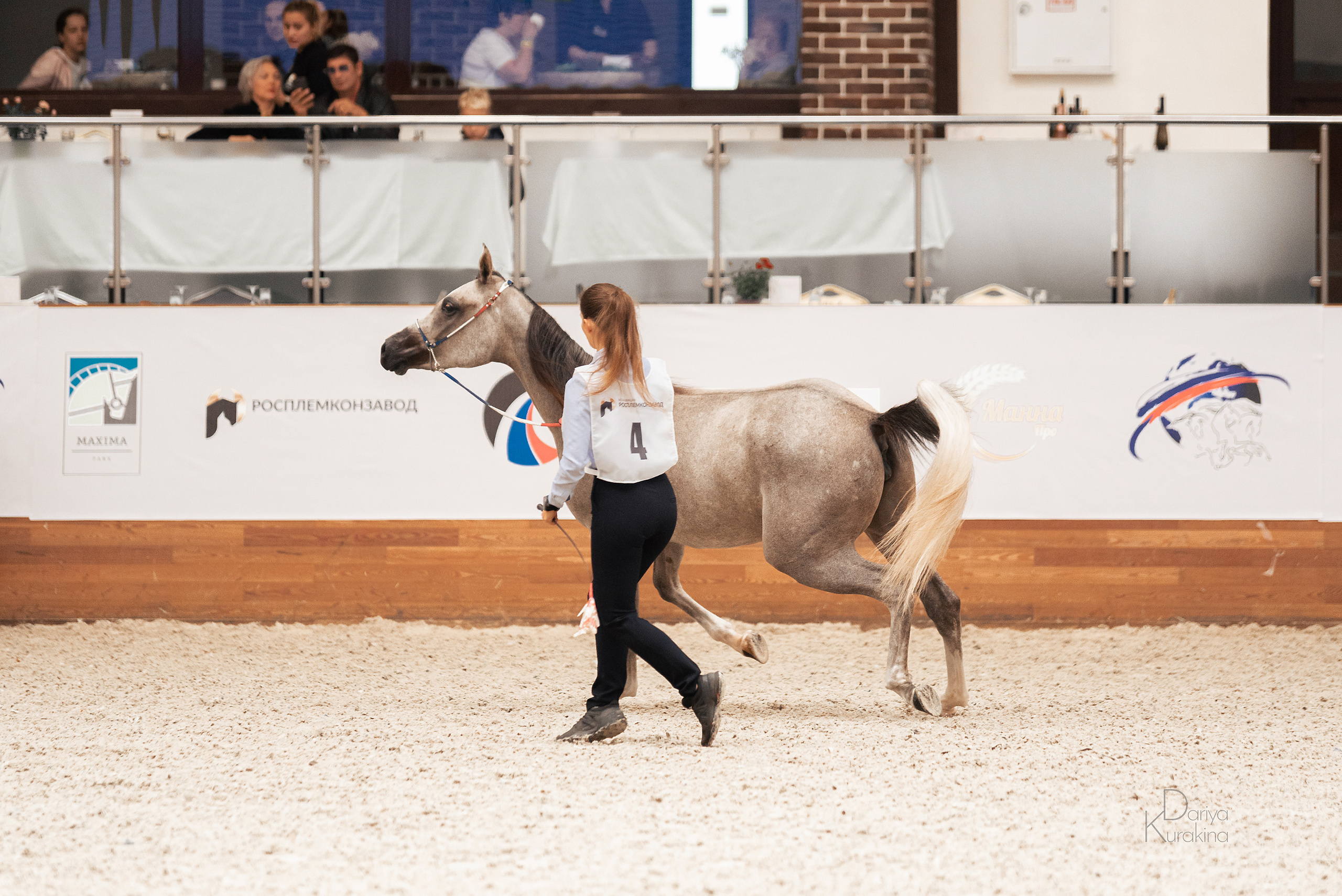 Конная Россия 2021. Конный фотограф Куракина Дарья • Фотосессии с лошадьми