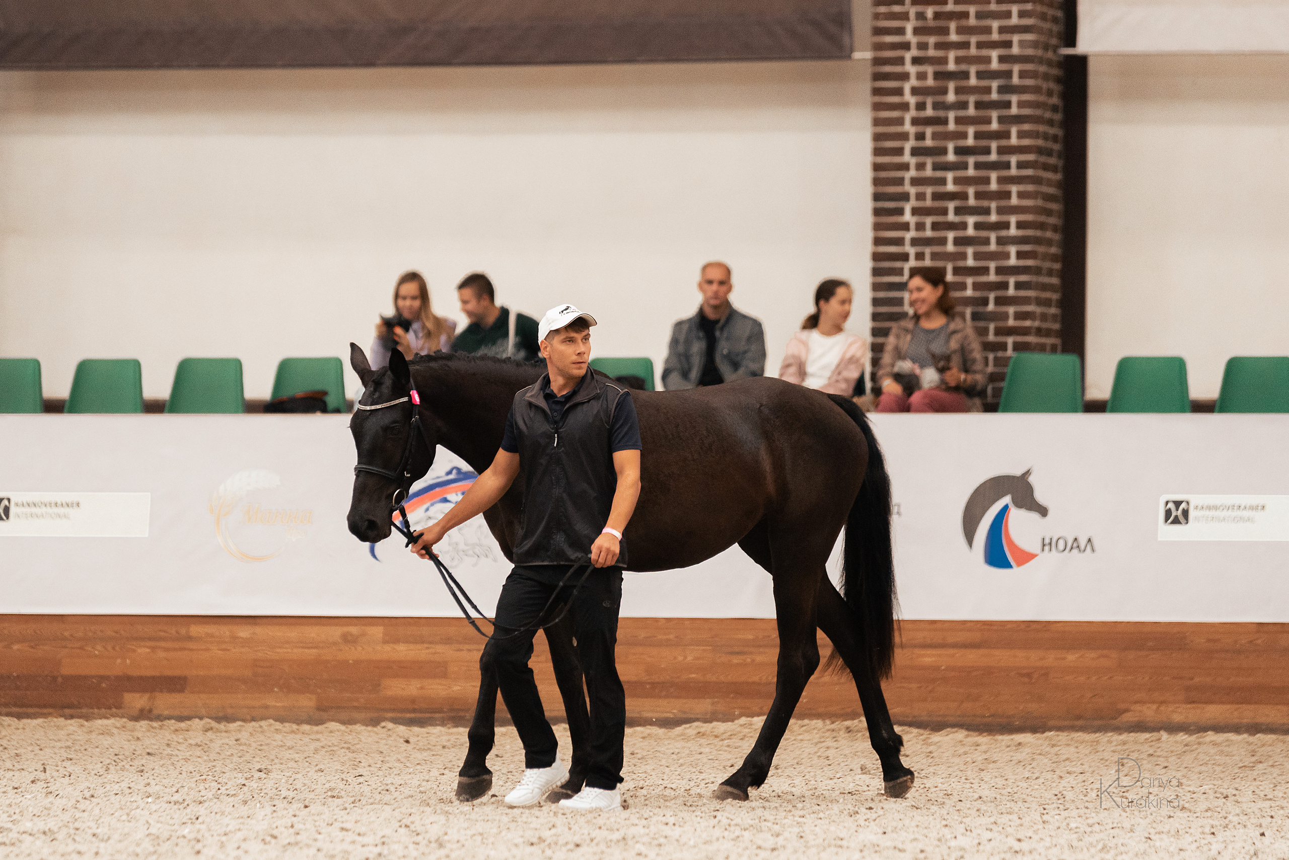 Конная Россия 2021. Конный фотограф Куракина Дарья • Фотосессии с лошадьми
