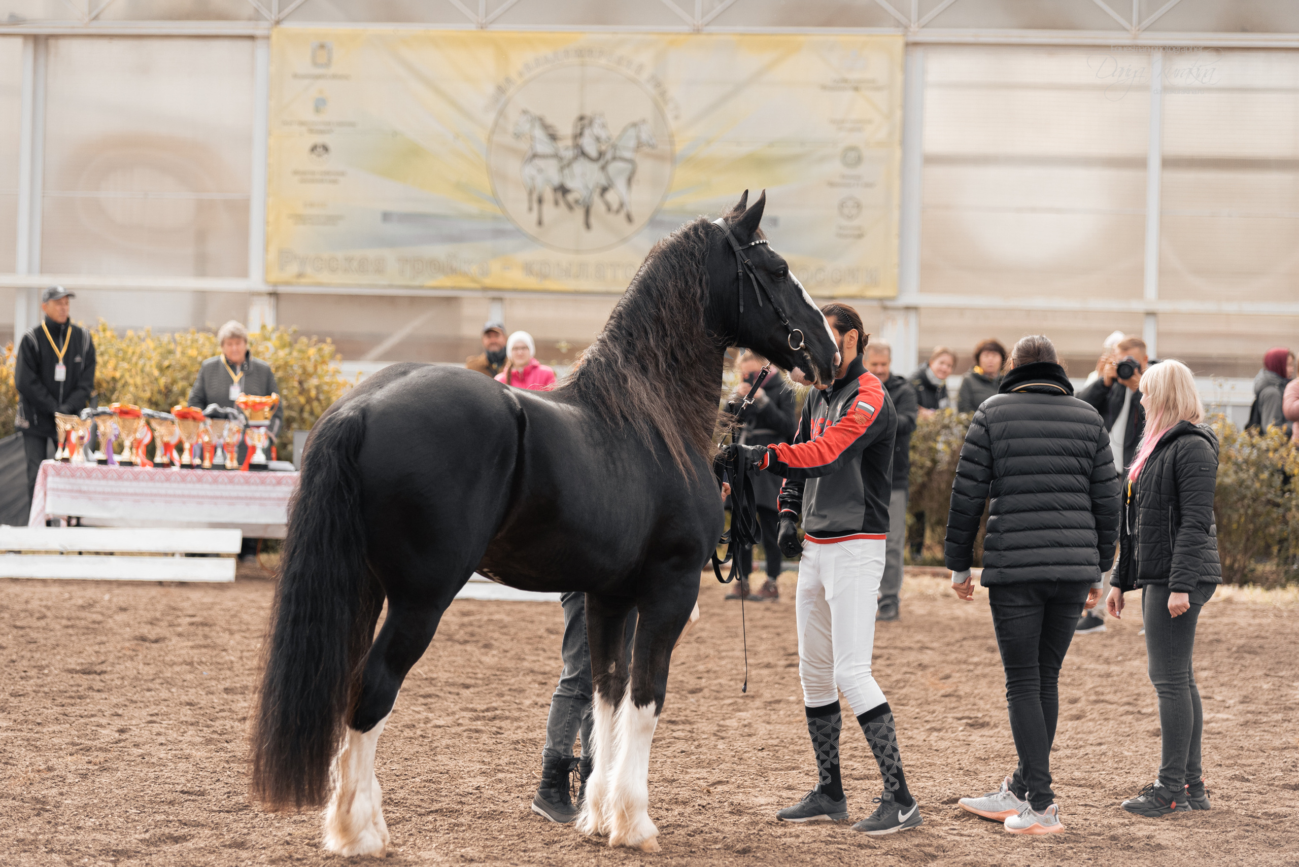 Богдарня. Конный фотограф Куракина Дарья • Фотосессии с лошадьми
