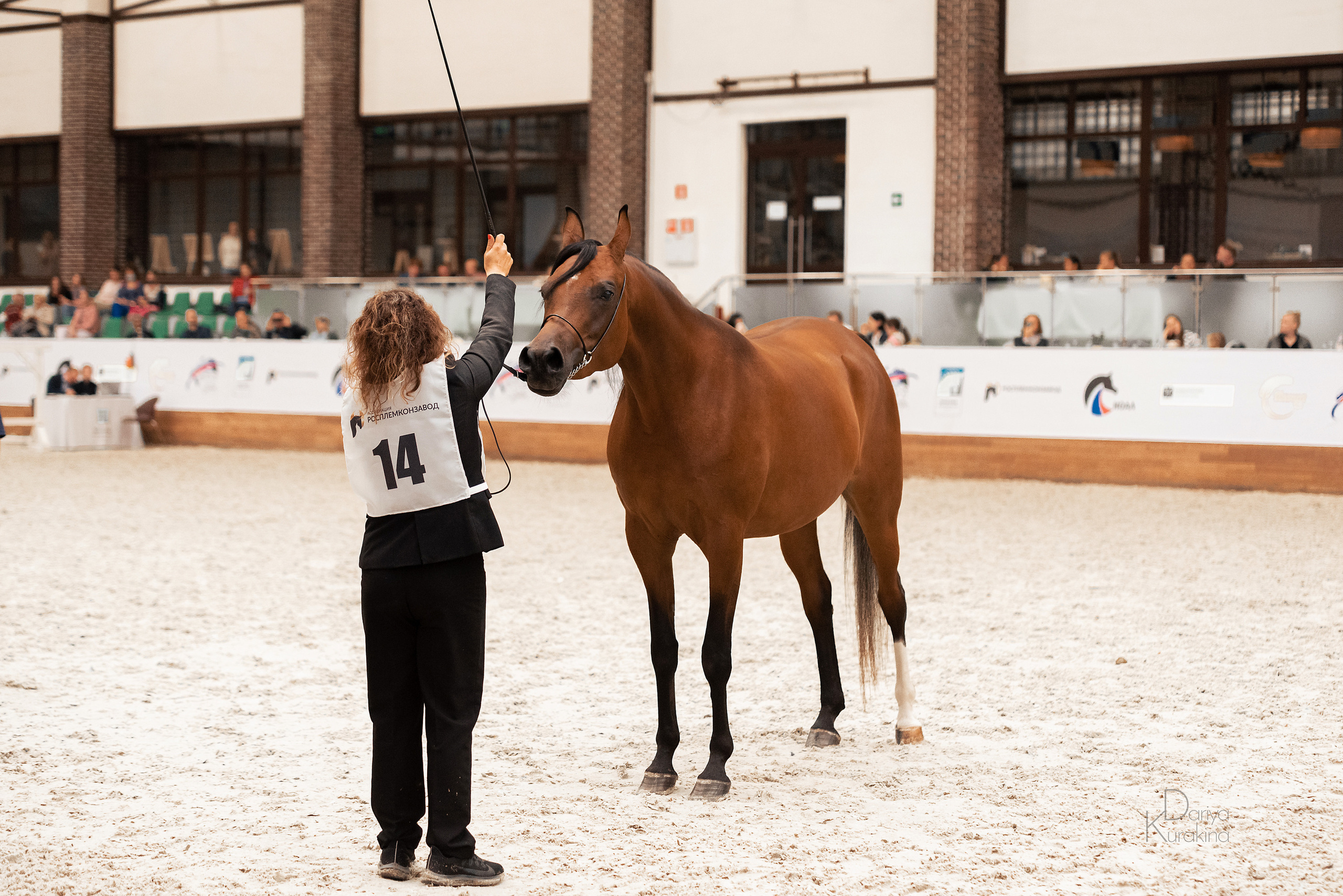 Конная Россия 2021. Конный фотограф Куракина Дарья • Фотосессии с лошадьми