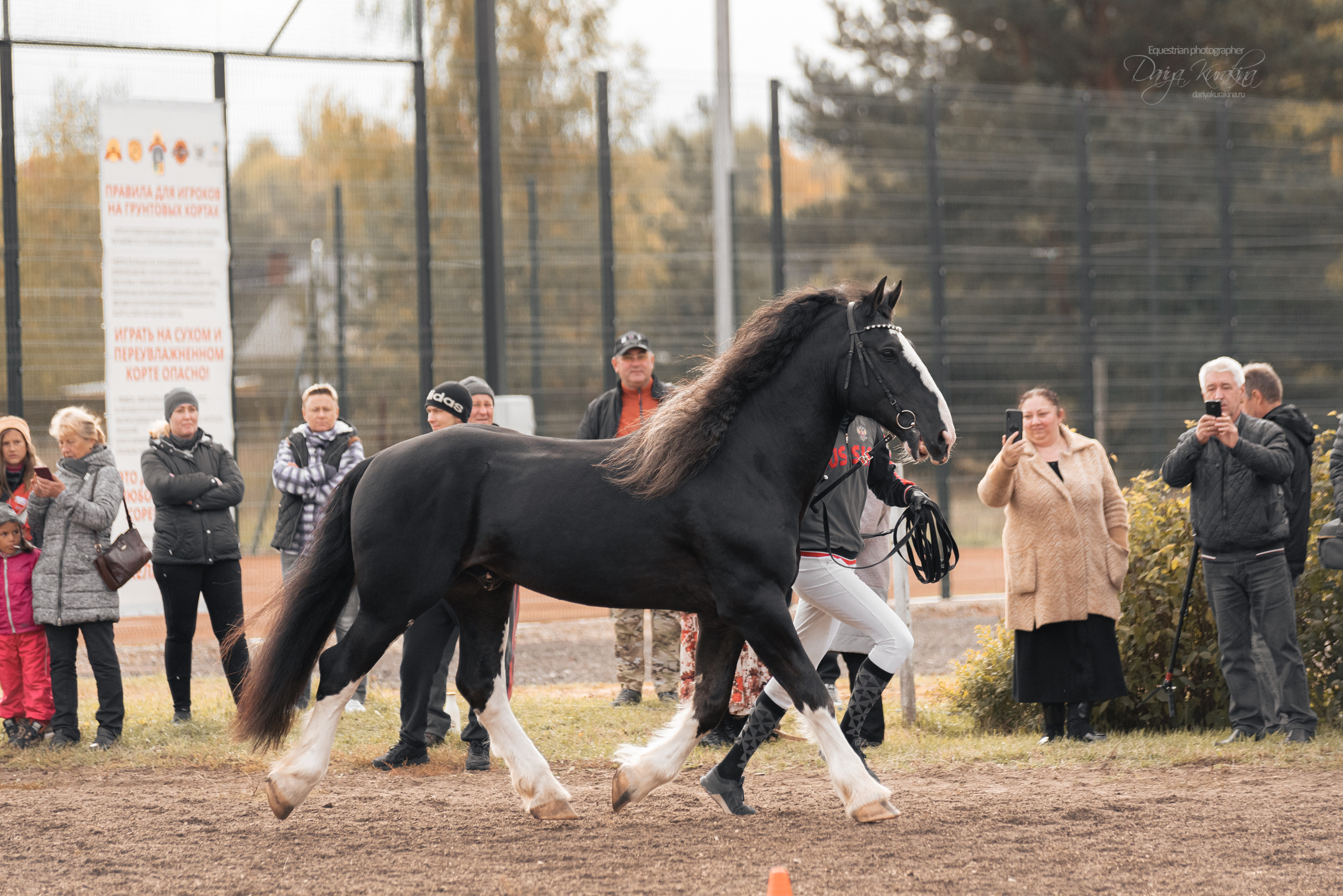 Богдарня. Конный фотограф Куракина Дарья • Фотосессии с лошадьми