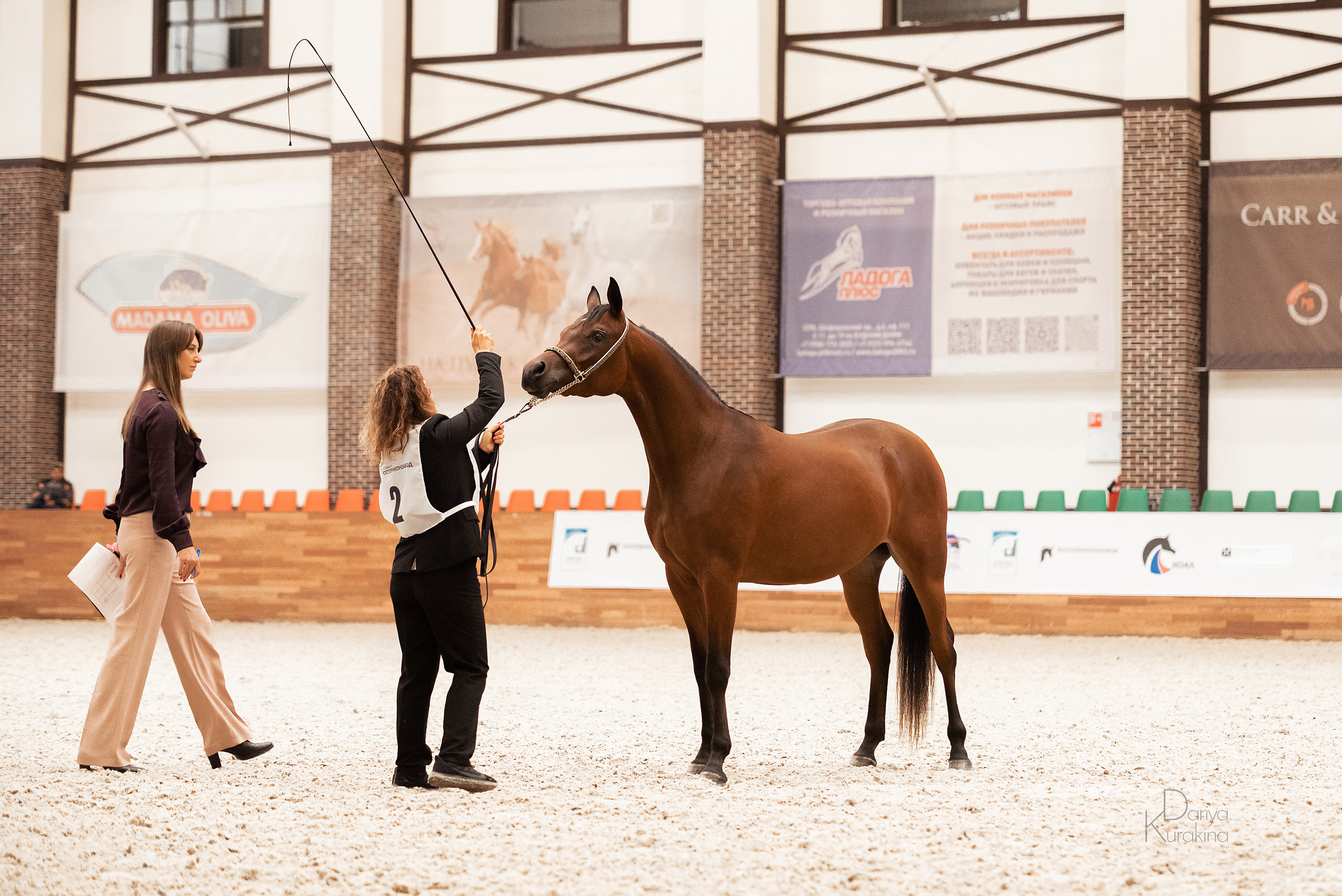 Конная Россия 2021. Конный фотограф Куракина Дарья • Фотосессии с лошадьми