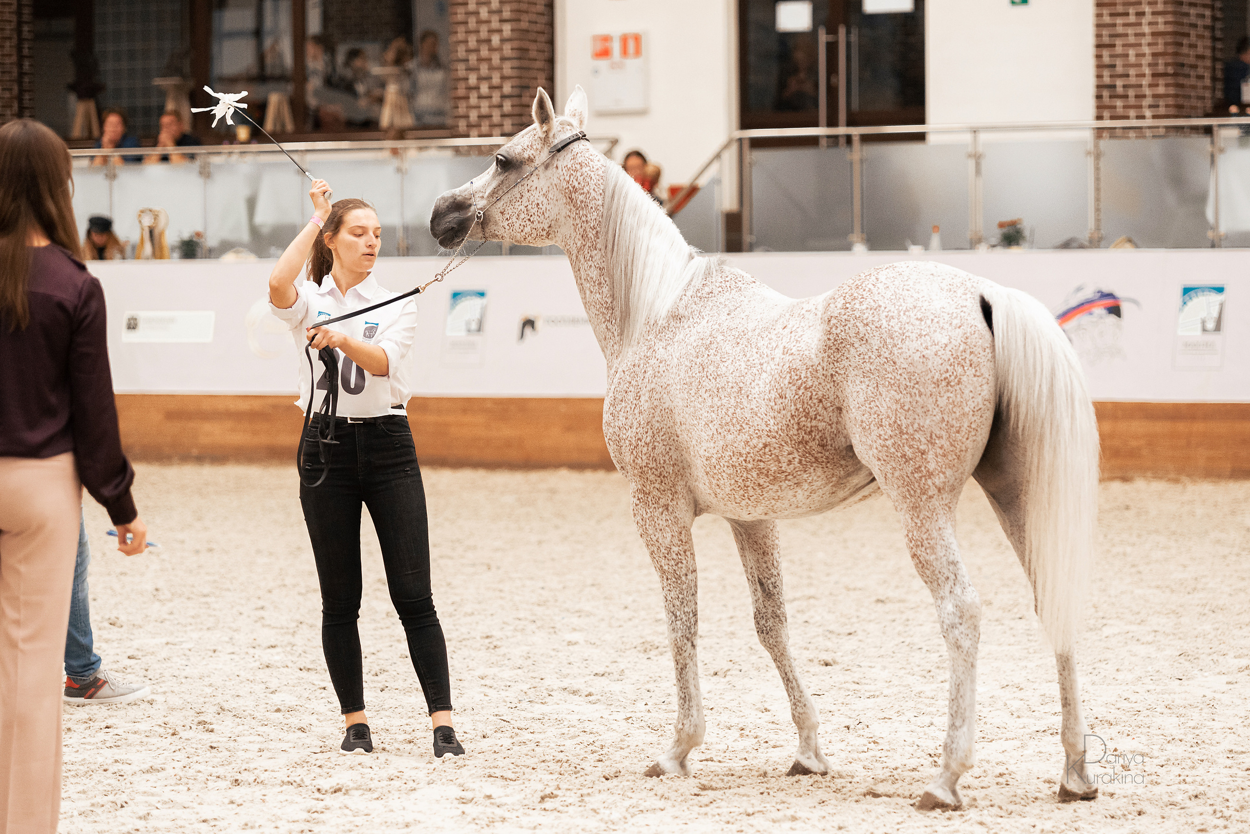 Конная Россия 2021. Конный фотограф Куракина Дарья • Фотосессии с лошадьми