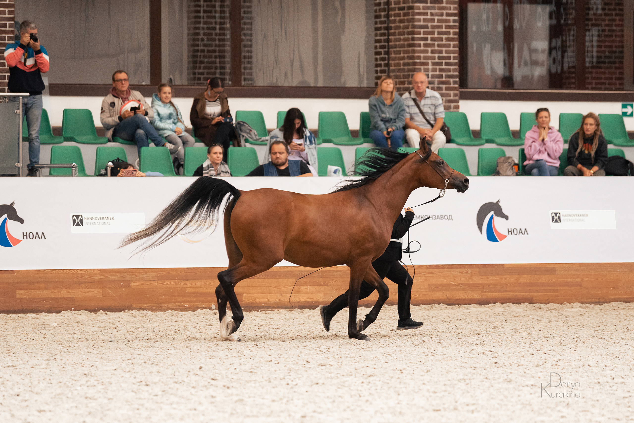 Конная Россия 2021. Конный фотограф Куракина Дарья • Фотосессии с лошадьми