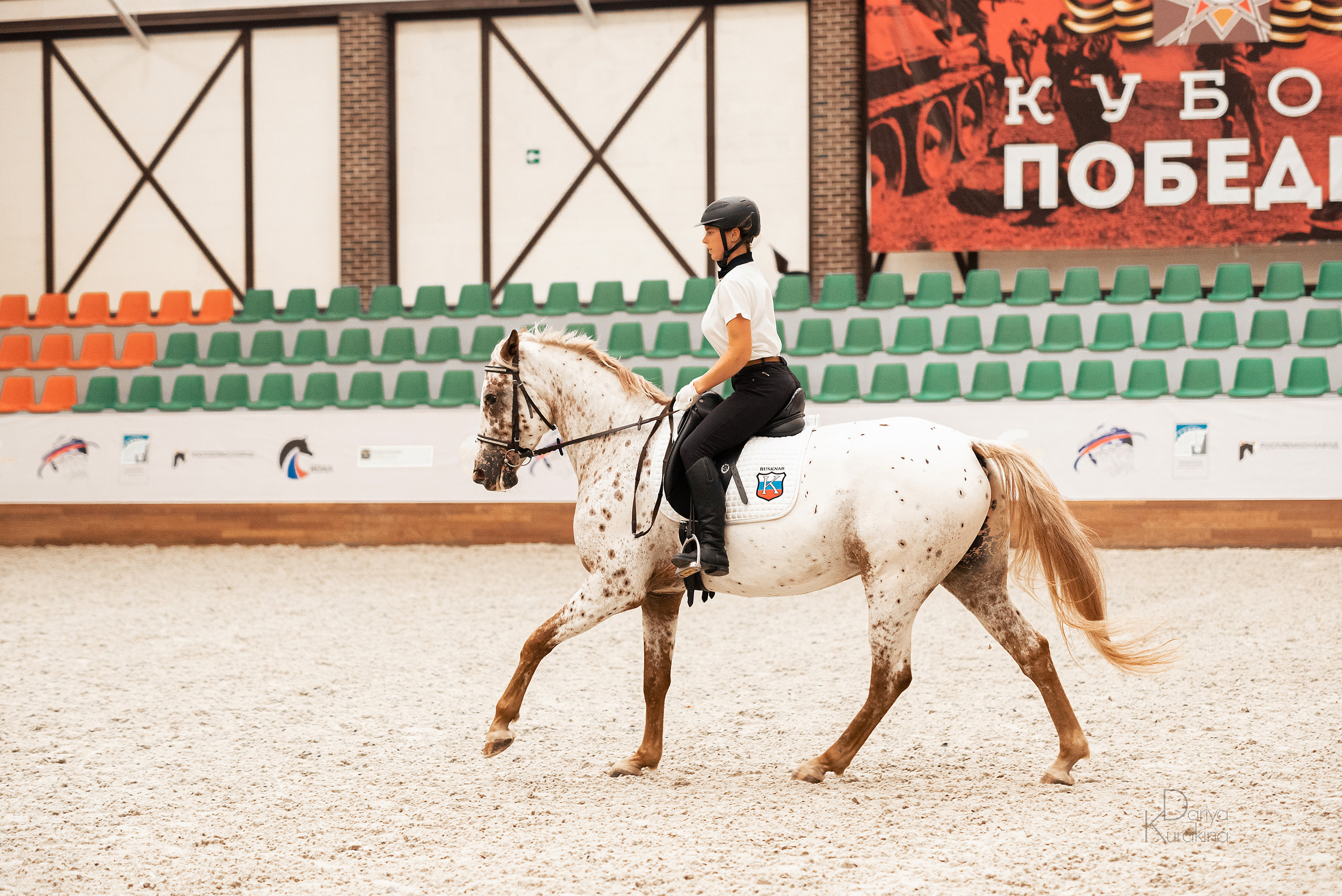 Конная Россия 2021. Конный фотограф Куракина Дарья • Фотосессии с лошадьми
