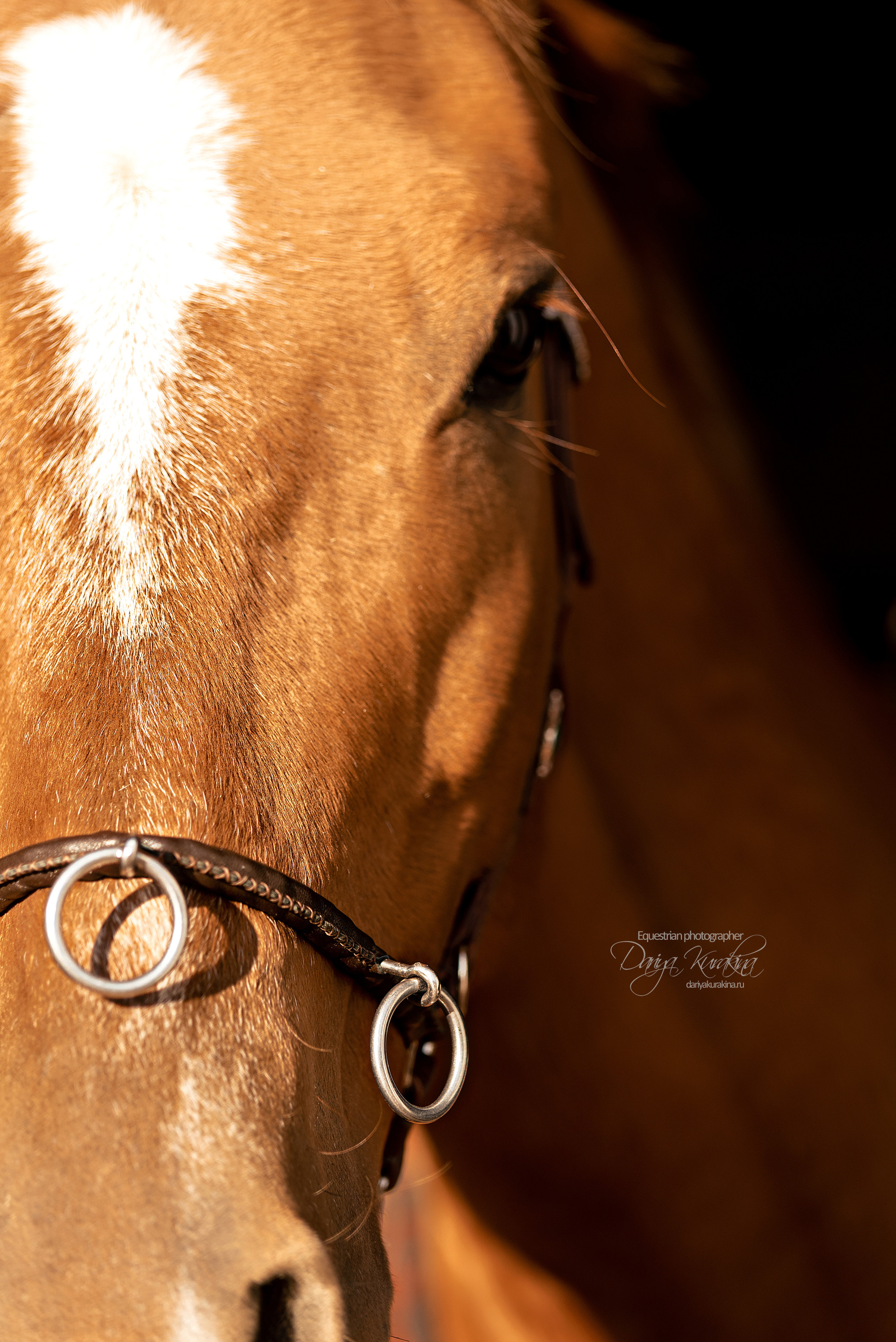 Юля, Маша и Барабан. Конный фотограф Куракина Дарья • Фотосессии с лошадьми