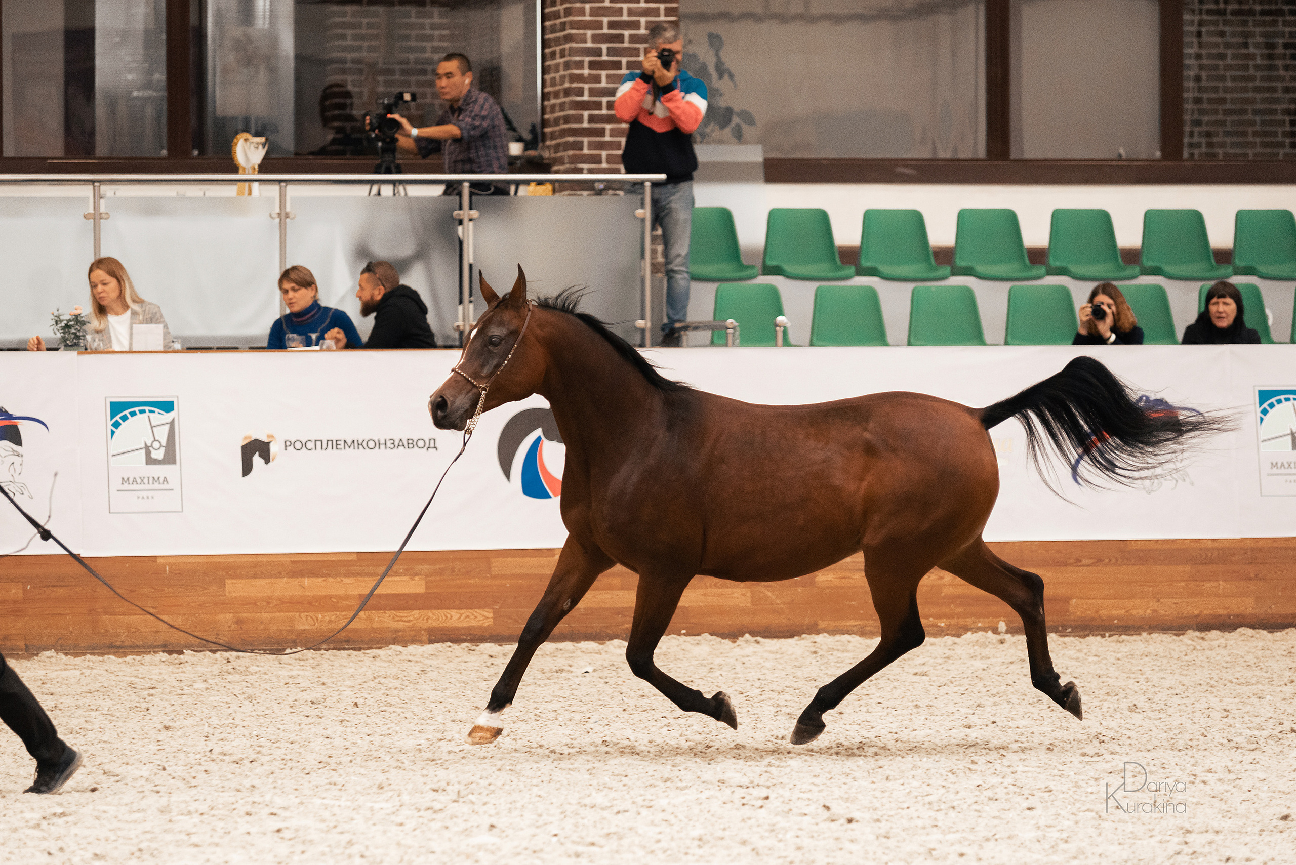 Конная Россия 2021. Конный фотограф Куракина Дарья • Фотосессии с лошадьми