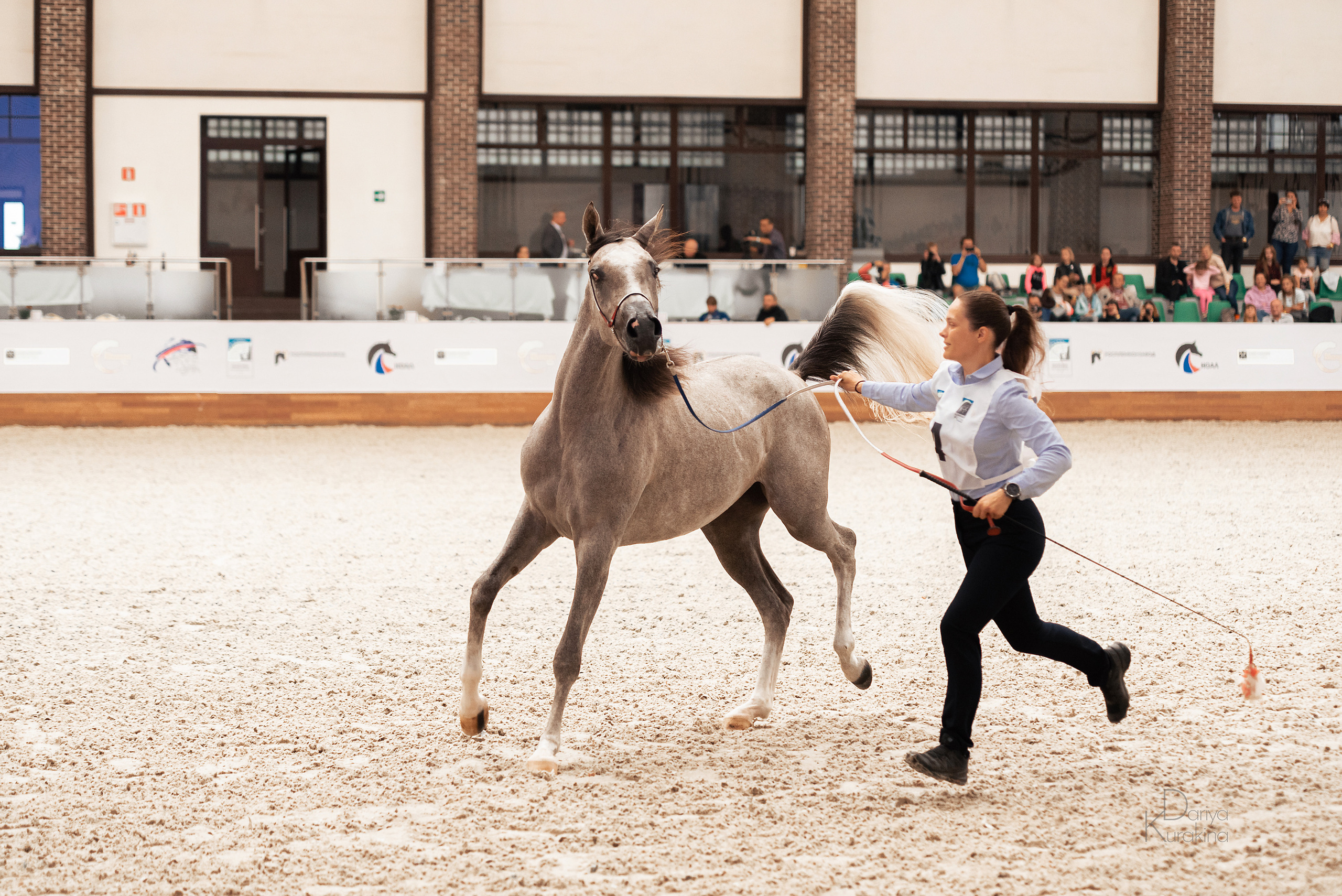 Конная Россия 2021. Конный фотограф Куракина Дарья • Фотосессии с лошадьми