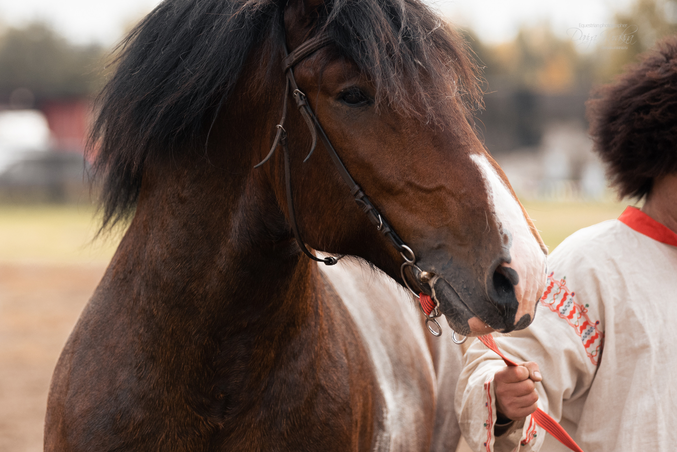 Богдарня. Конный фотограф Куракина Дарья • Фотосессии с лошадьми