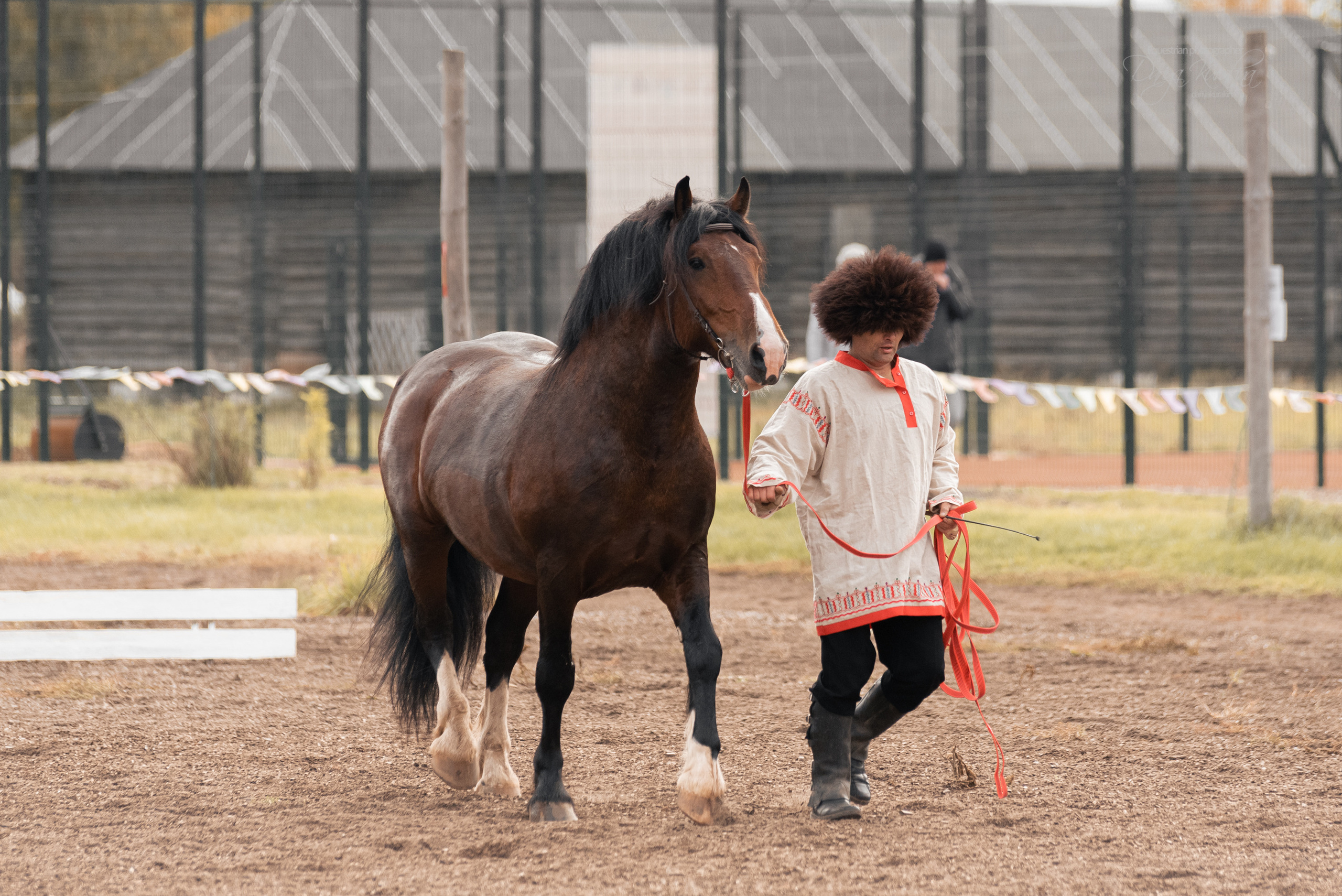 Богдарня. Конный фотограф Куракина Дарья • Фотосессии с лошадьми