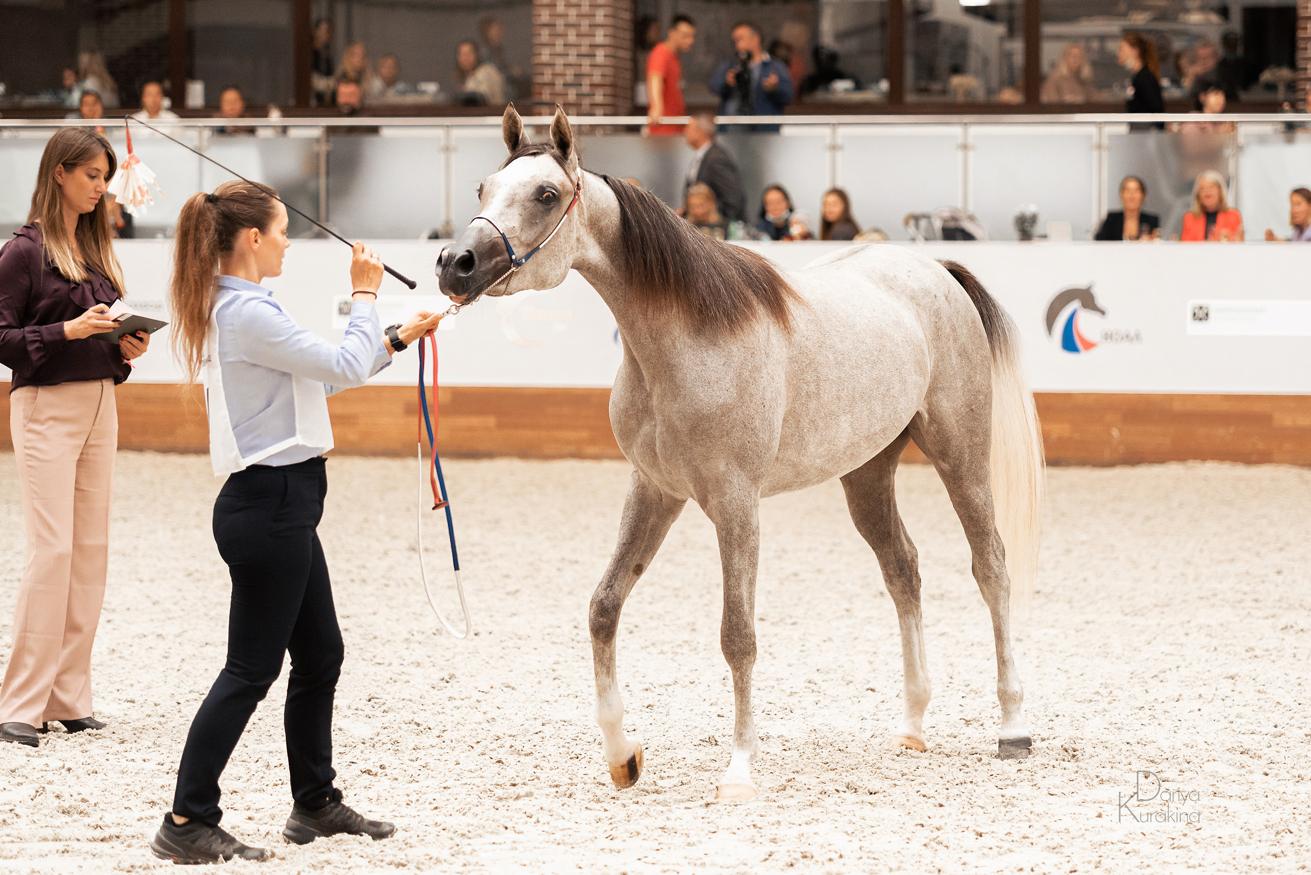 Конная Россия 2021. Конный фотограф Куракина Дарья • Фотосессии с лошадьми