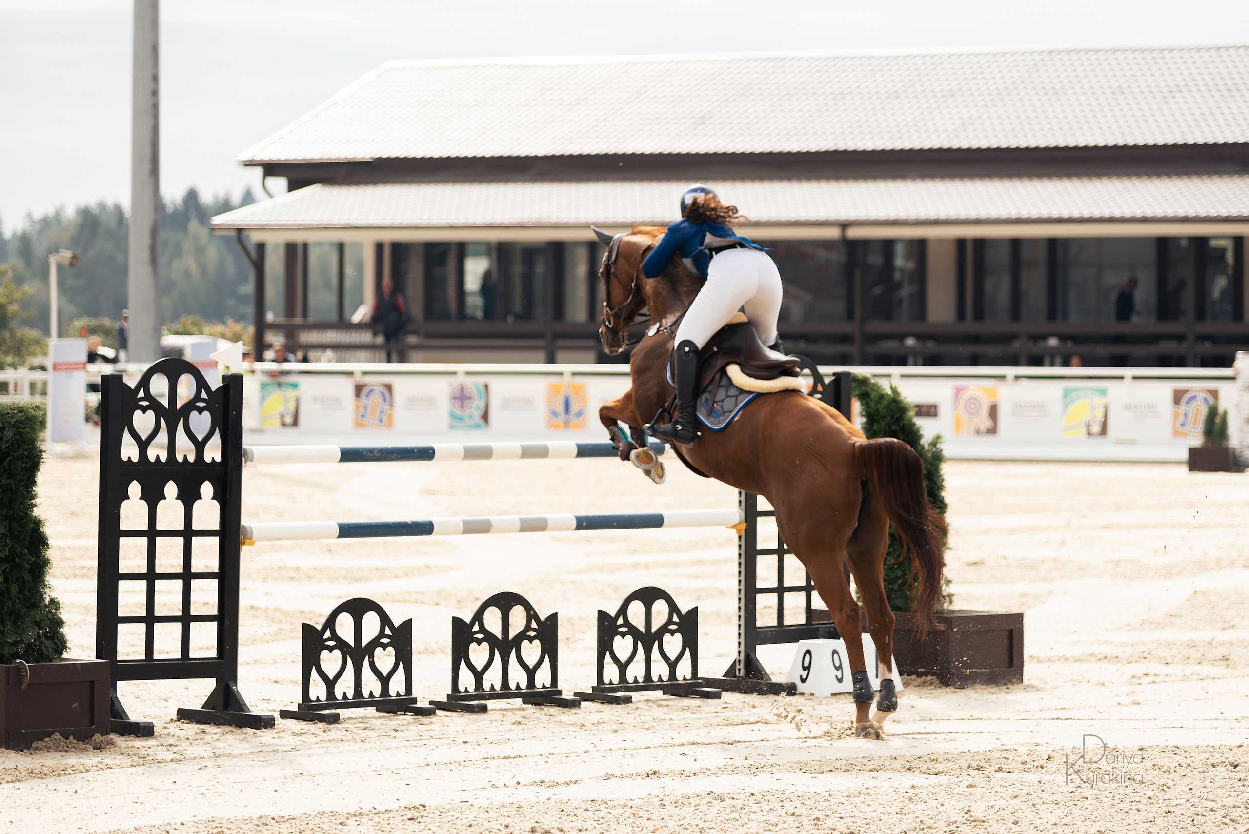 Конная Россия 2021. Конный фотограф Куракина Дарья • Фотосессии с лошадьми