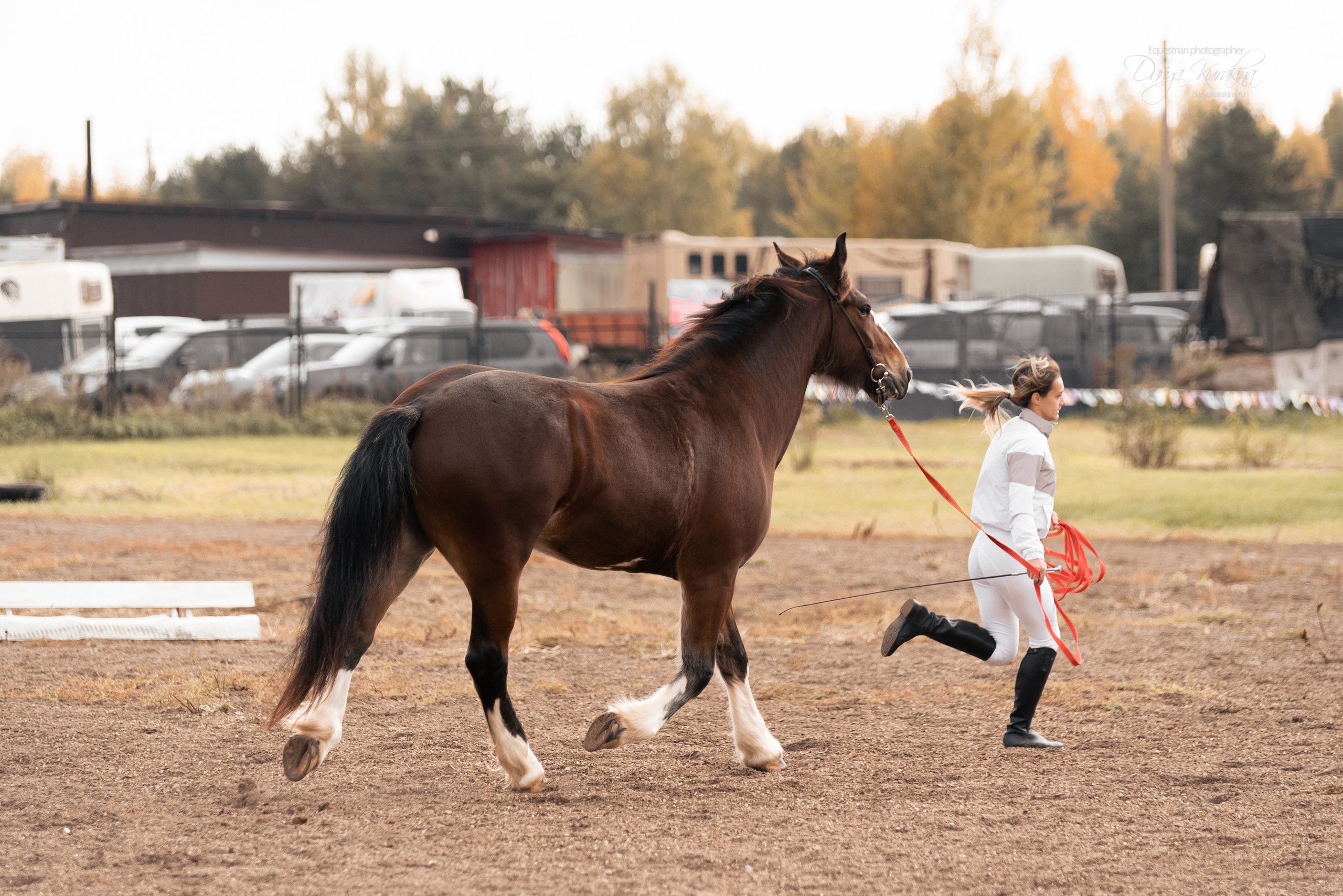 Богдарня. Конный фотограф Куракина Дарья • Фотосессии с лошадьми